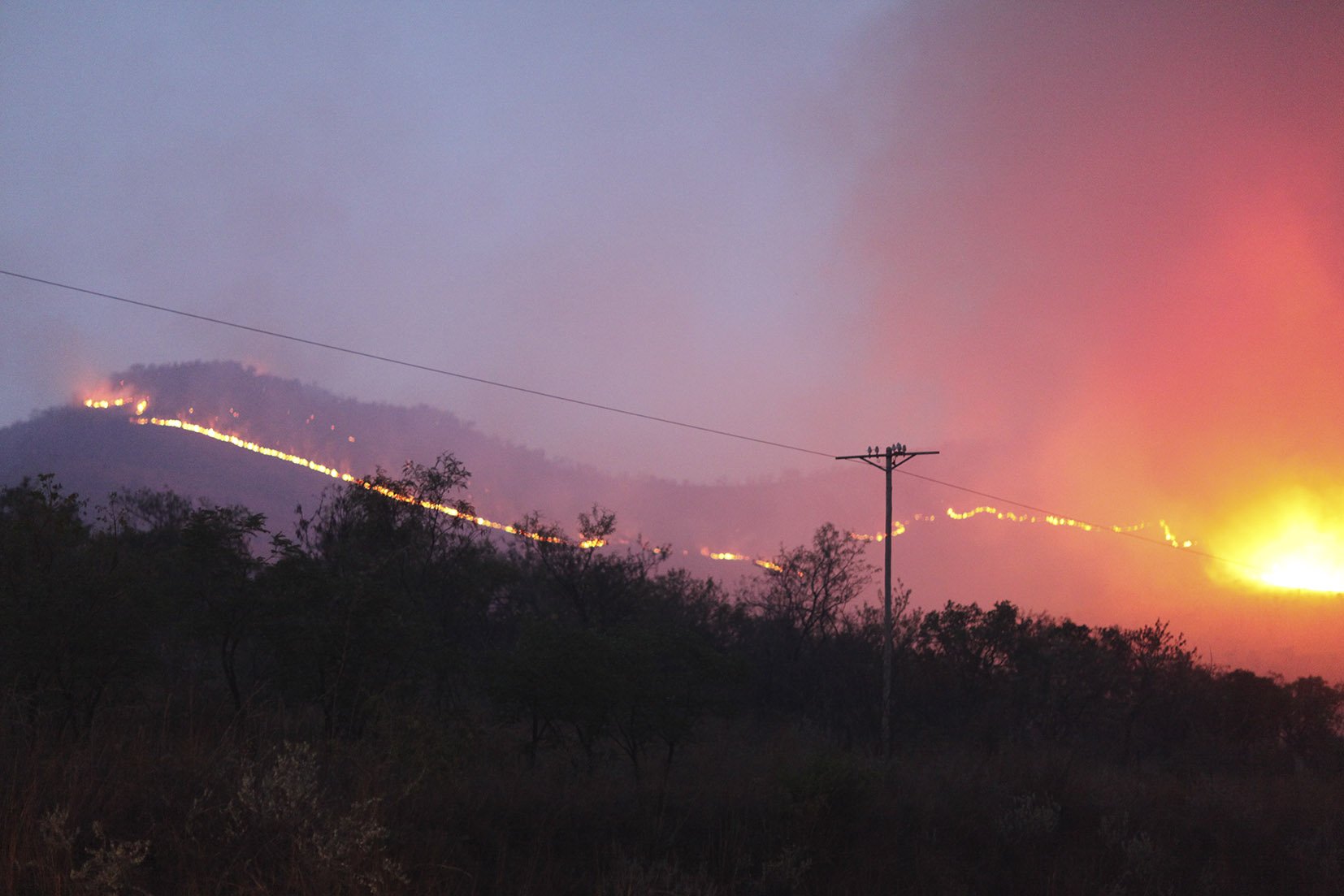  Unsupervised Velt Fire near Zebediela, Limpopo/ 2010 