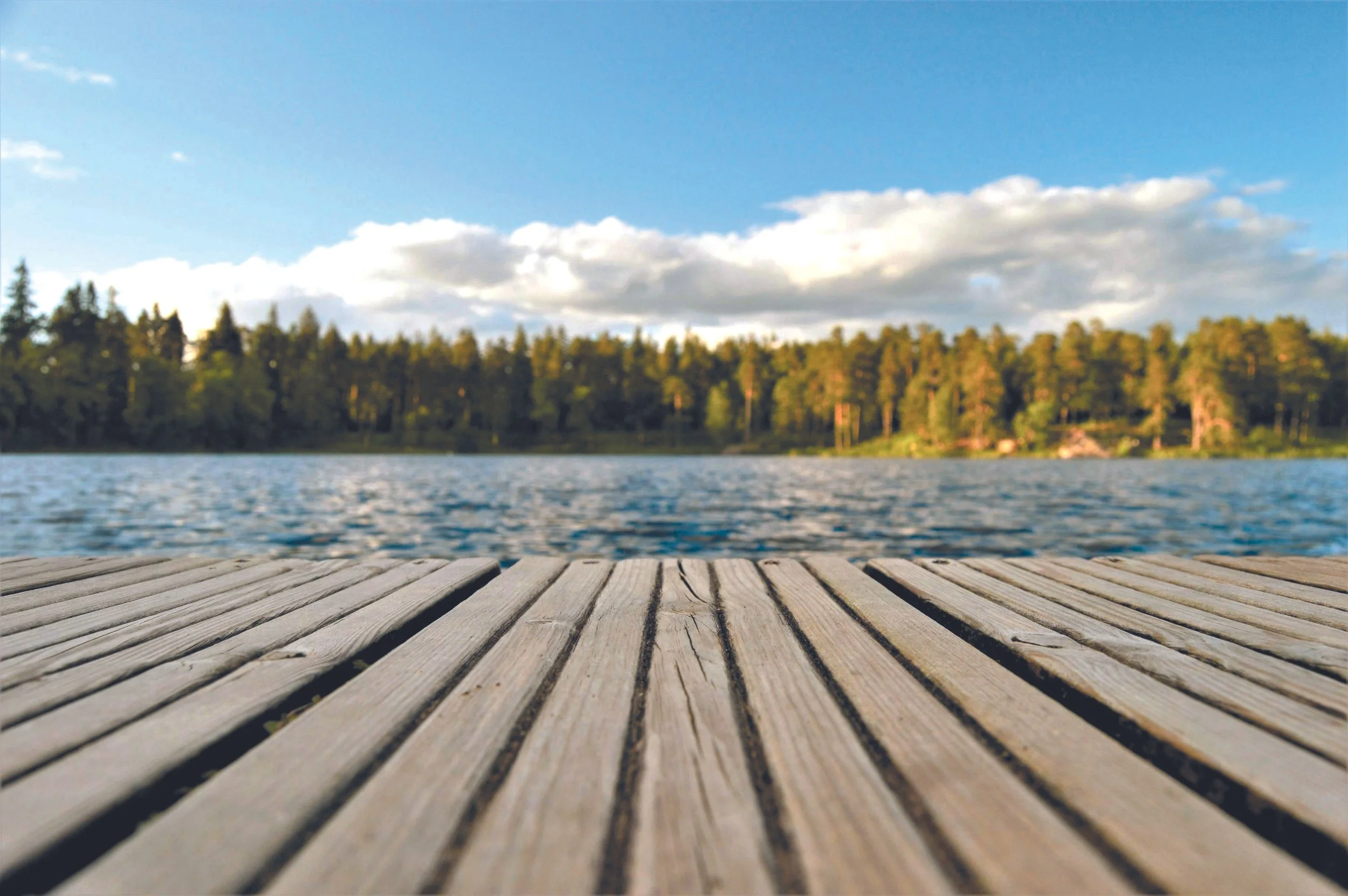 Brandal: "En av oss" og "Terroristen fra Bærum": litterær journalistikk og medborgarskap