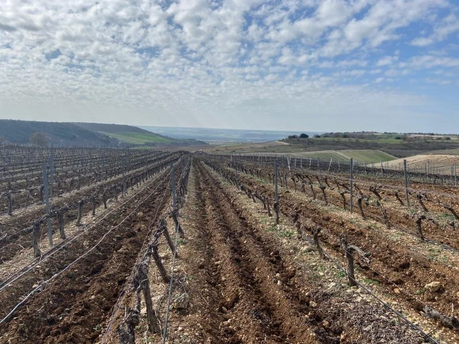 WhatsApp Image 2020-03-26 at 21.16.30 (1).jpeg