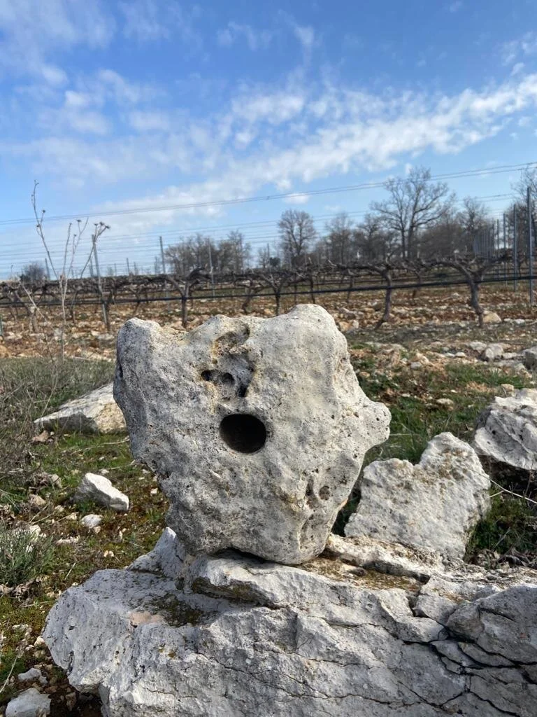 WhatsApp Image 2020-03-26 at 21.16.30 (3).jpeg