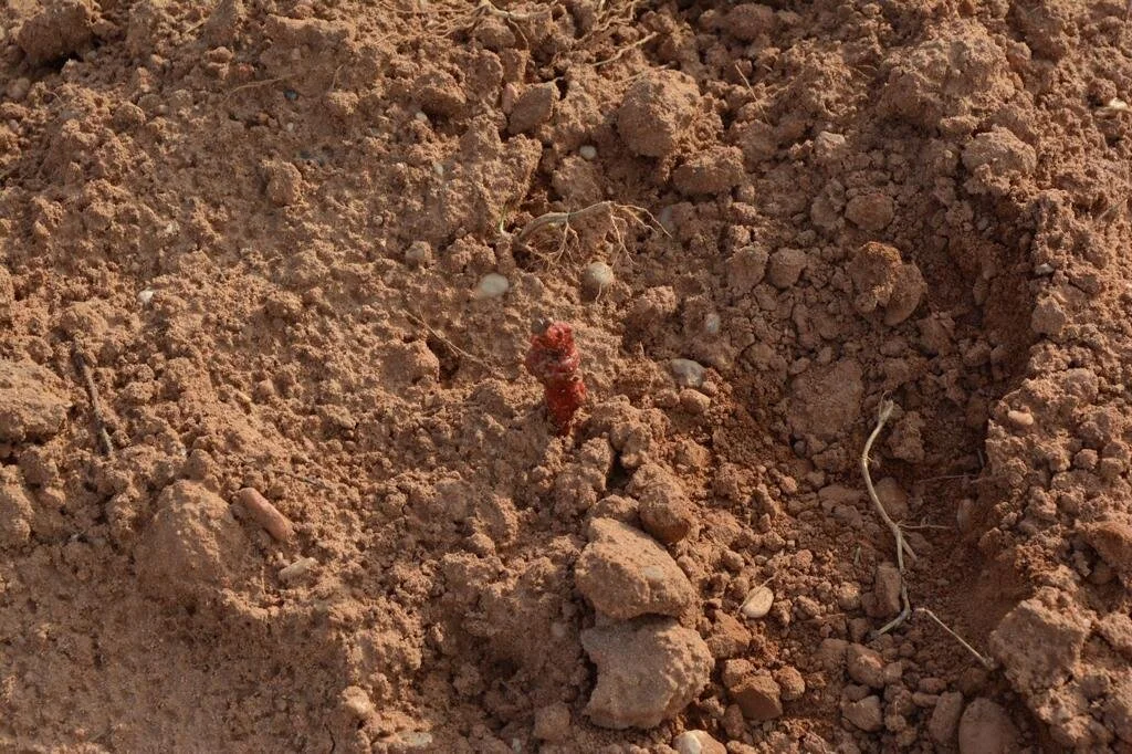 WhatsApp Image 2020-05-09 at 18.16.15.jpeg