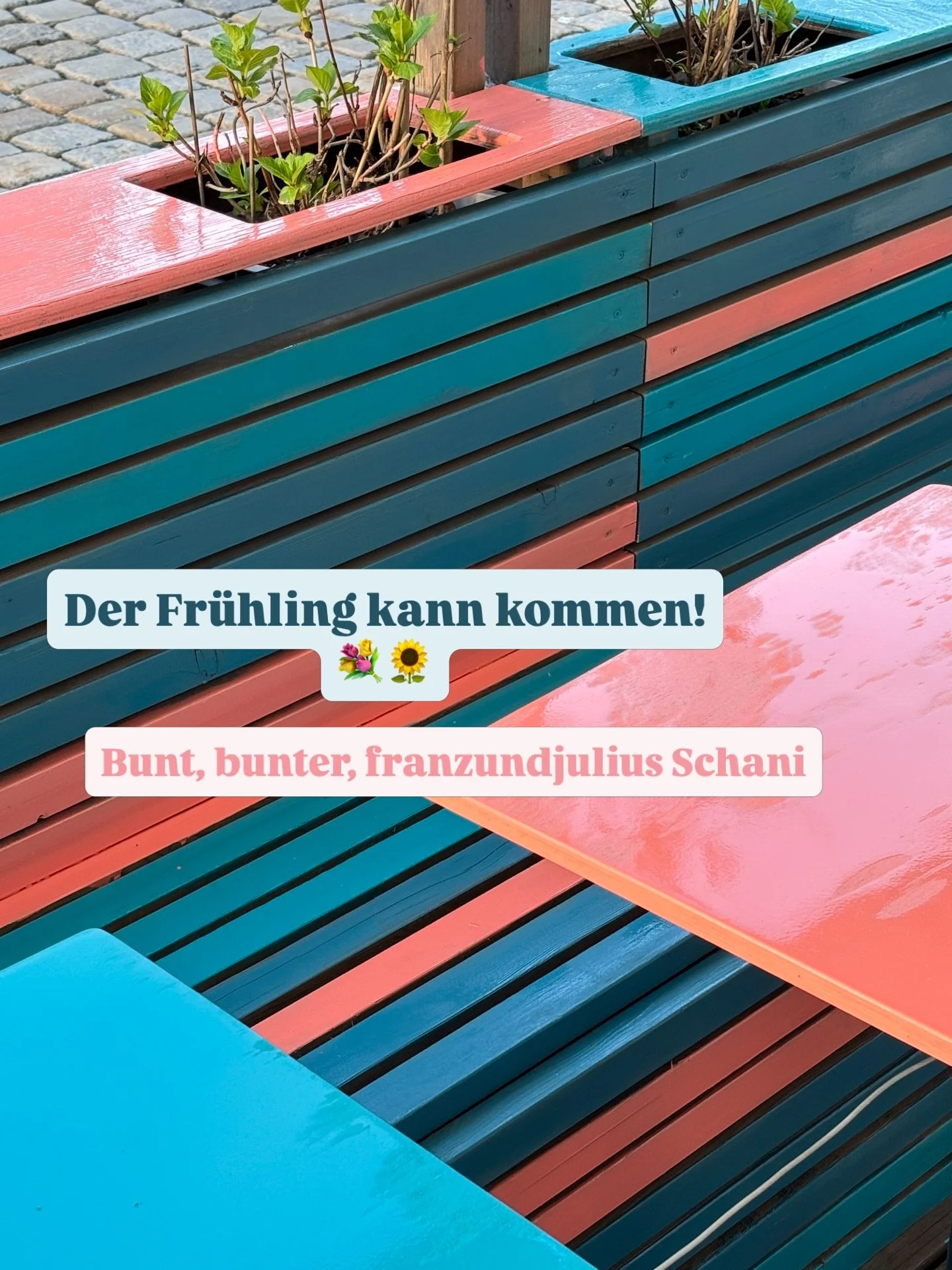 Wir freuen uns, euch ab morgen in unserem frischgestrichenen Schanigarten begr&uuml;&szlig;en zu d&uuml;rfen! 💐

Unsere Sommer&ouml;ffnungszeiten🌷🌞:
Di - Fr 9:00 bis 22:00 Uhr
Samstag 10:00 bis 17:00 Uhr