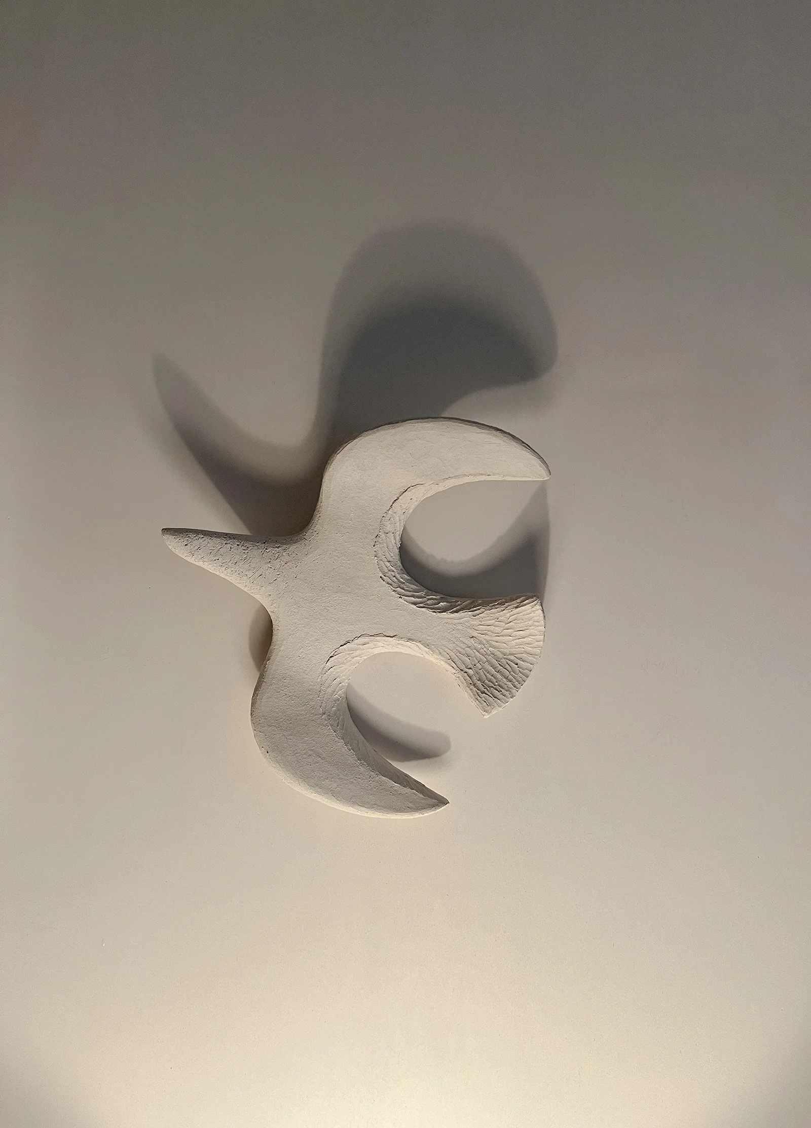 bird shadow close up.jpg