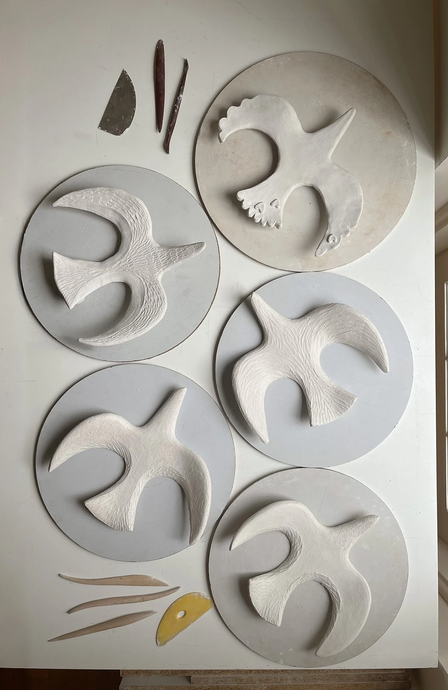 birds drying.jpg