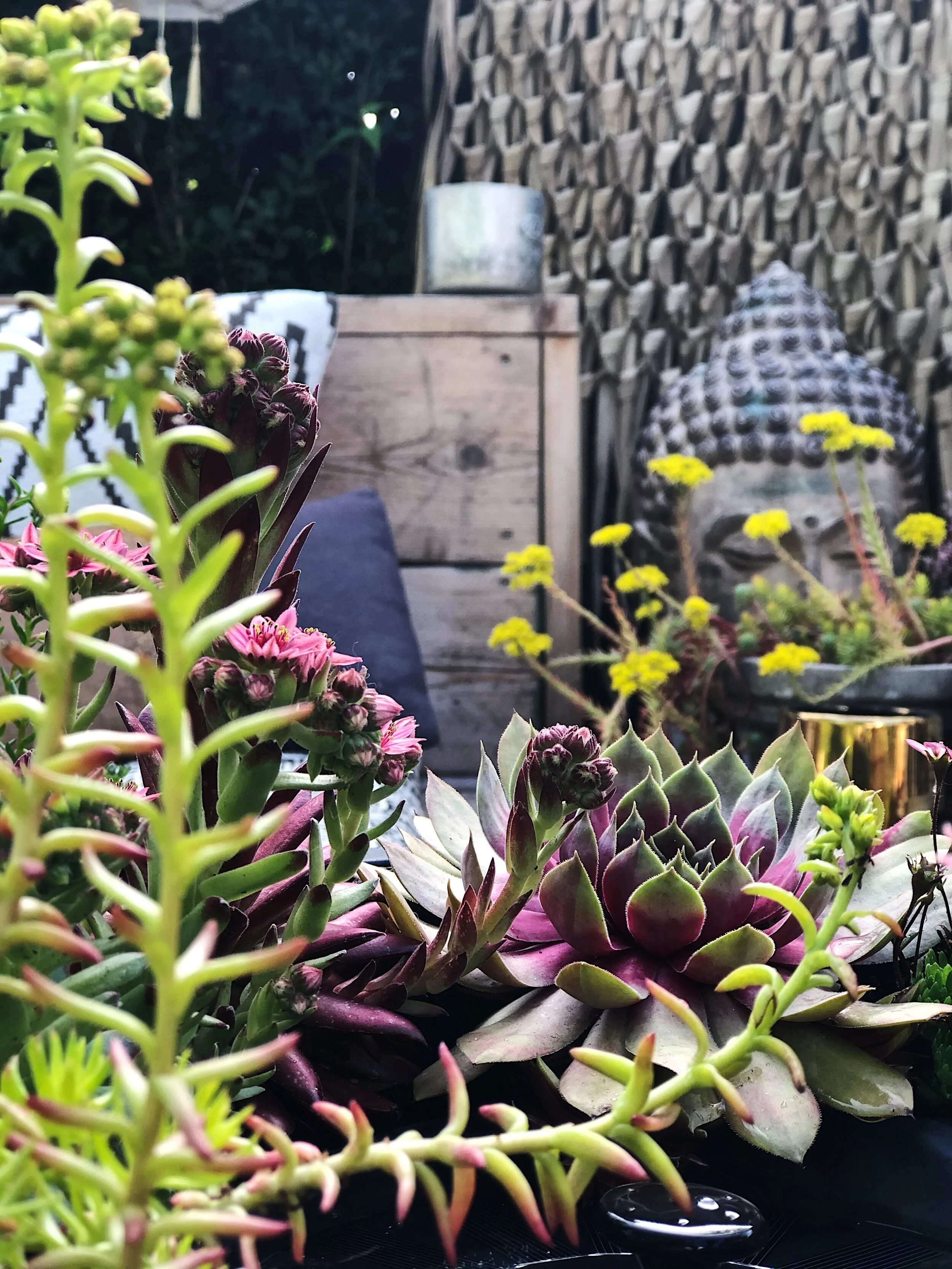 Patio Makeover/ Part Two - the Planting