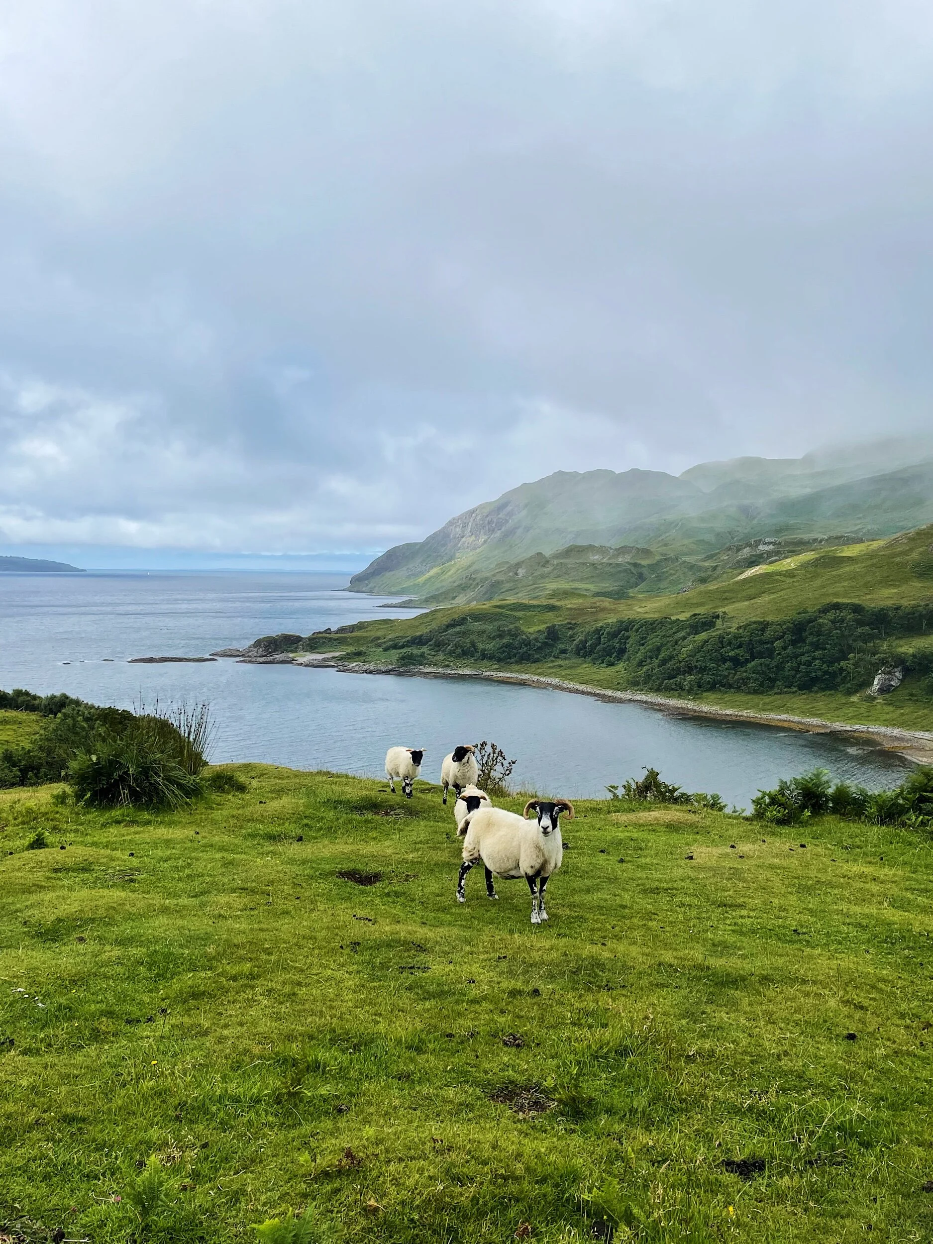 The Ardnamurchan Penisular, Western Highlands