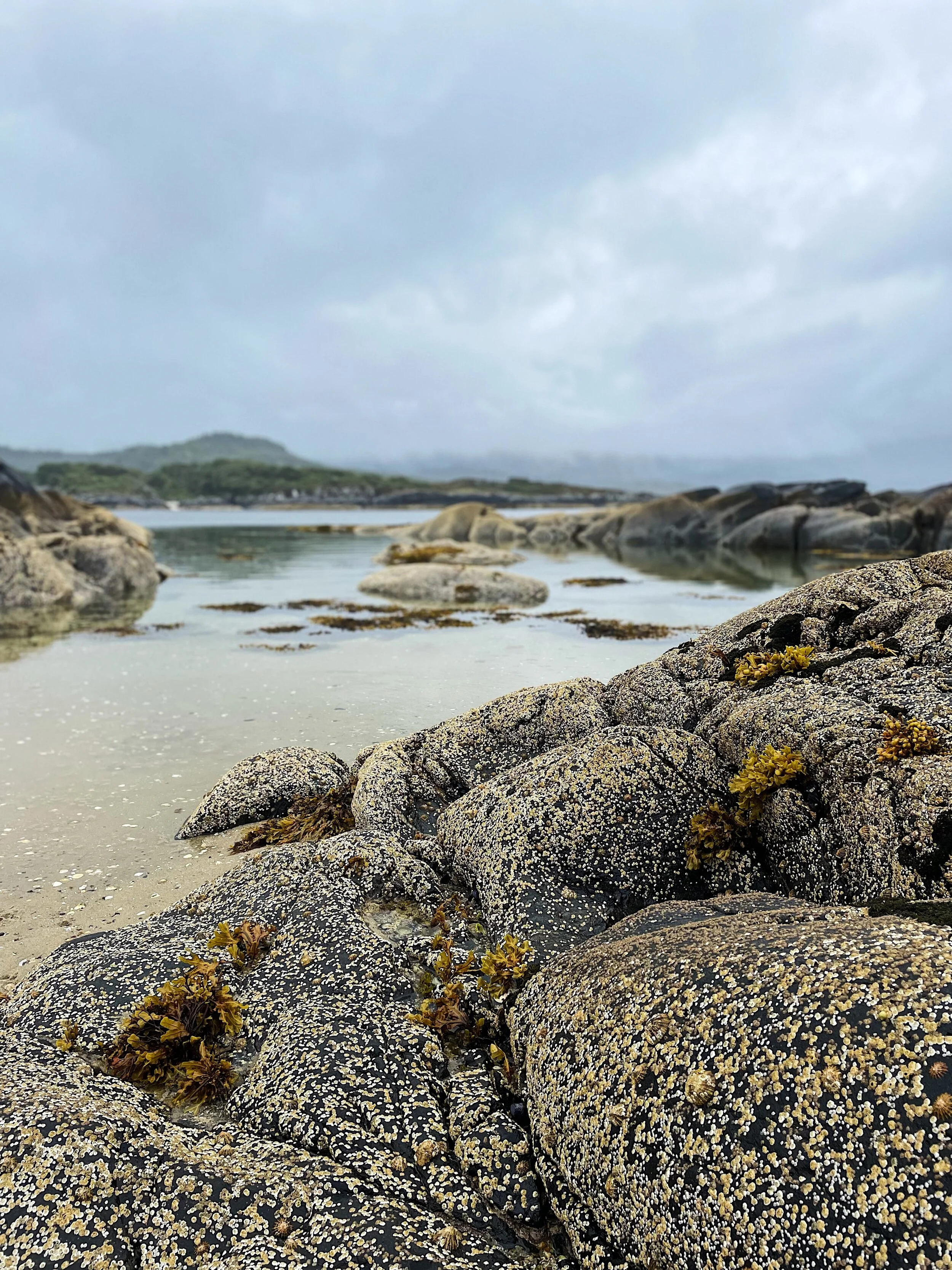 FullSizeRender 7.jpeg