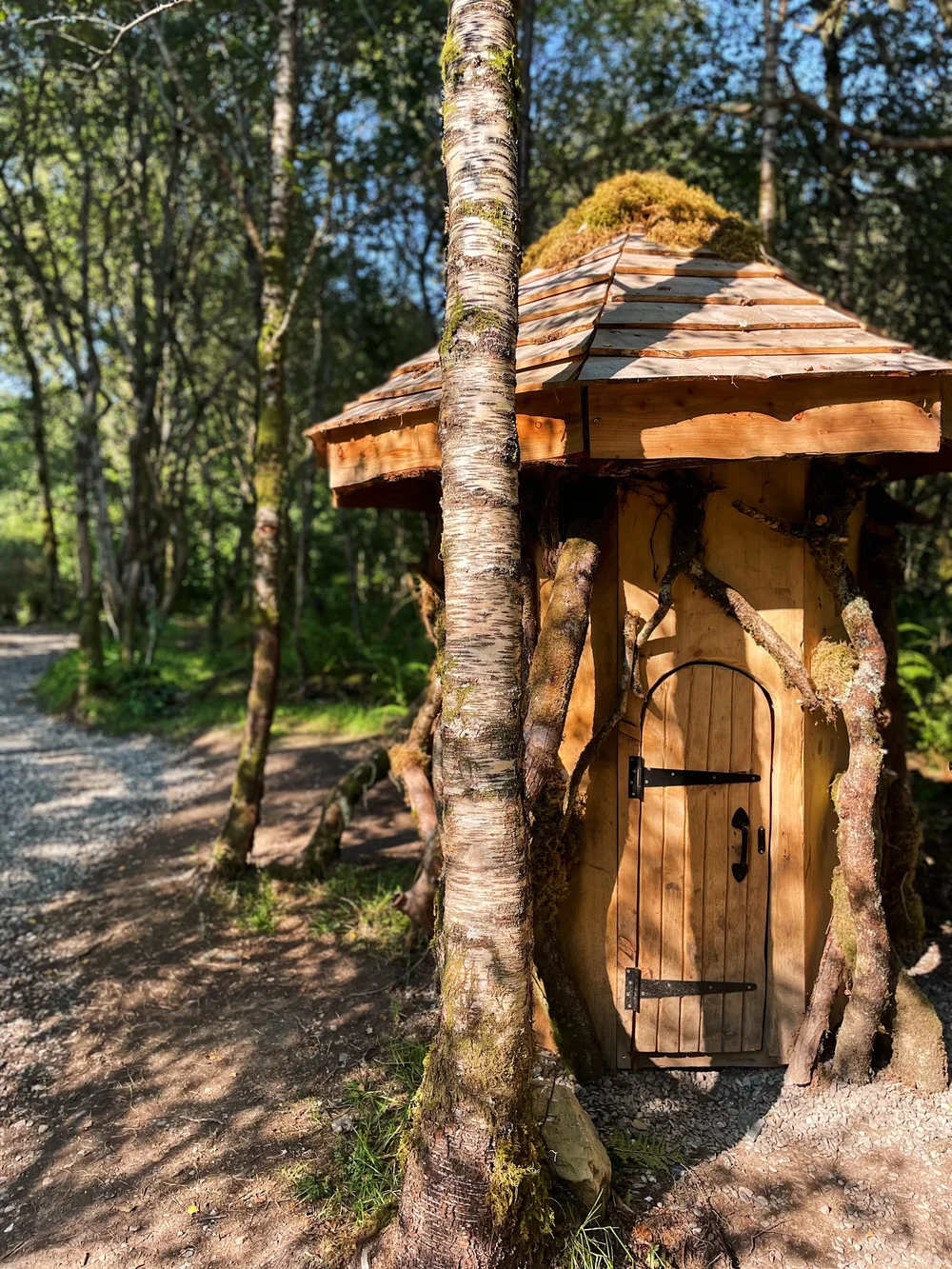 FullSizeRender 4.jpeg