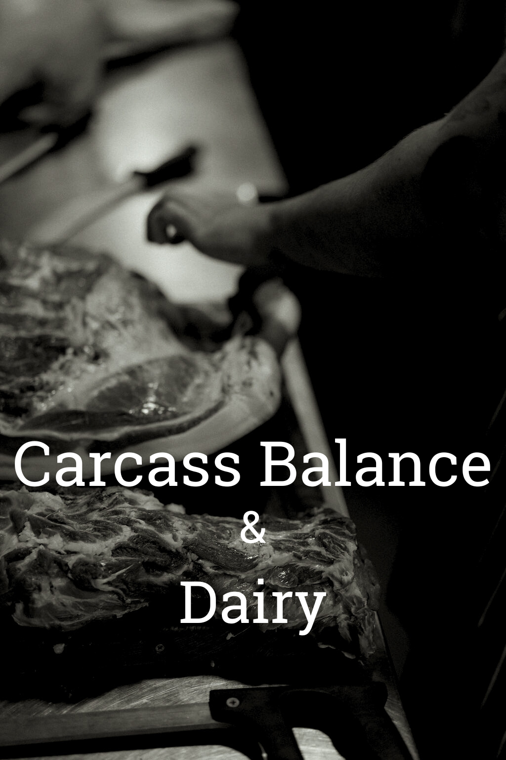 Carcass Balancet.png