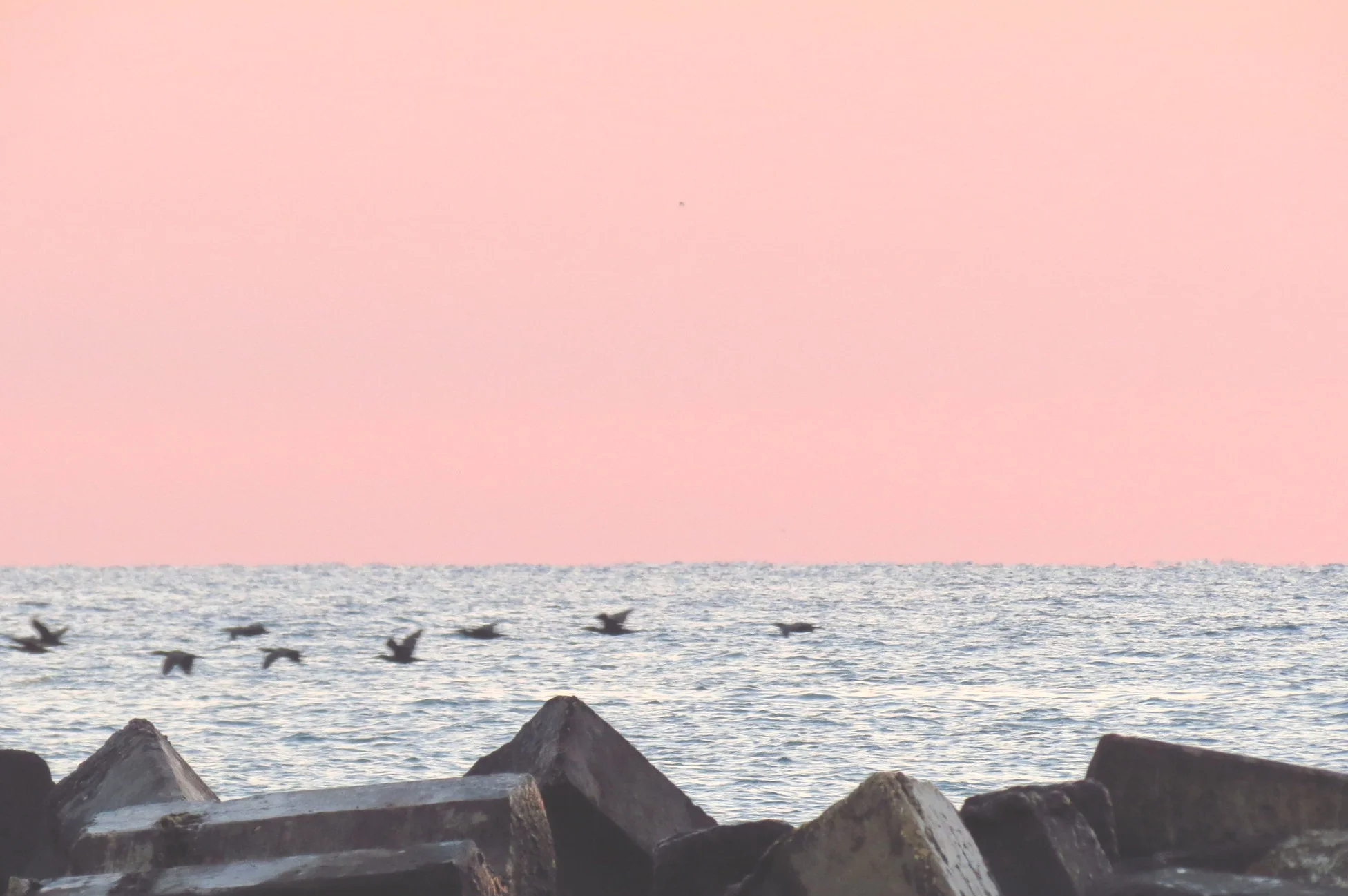 Dawn over the Black Sea at Cap Aurora by  Alexandru Panoiu licensed under CC BY 2.0 (Copy)