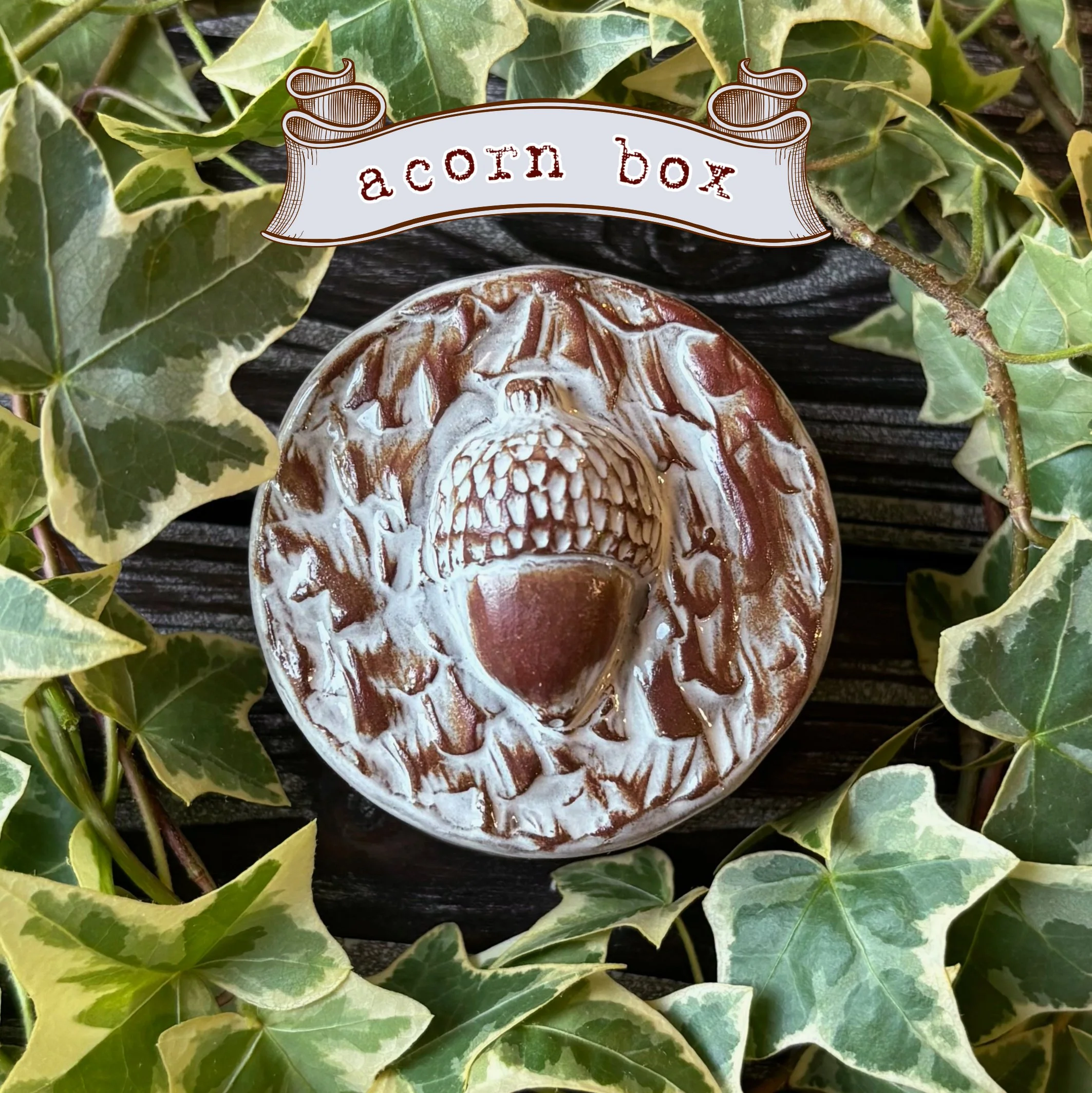 Little Acorn Box