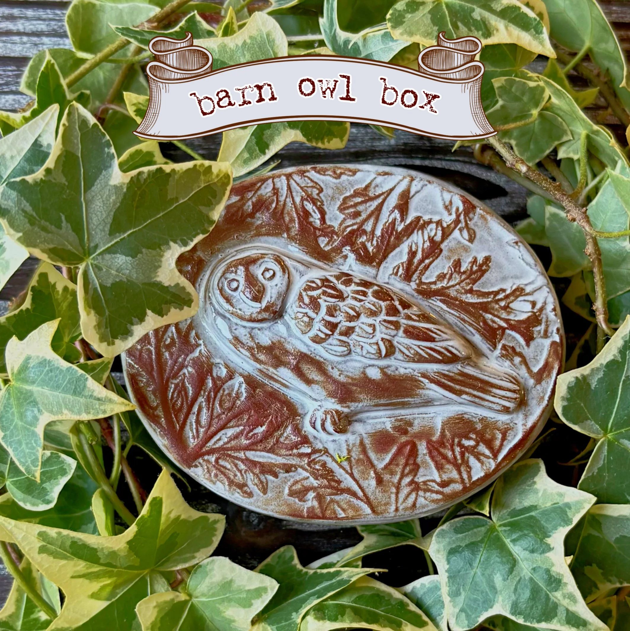 Little Snowy Owl Box | MADE TO ORDER