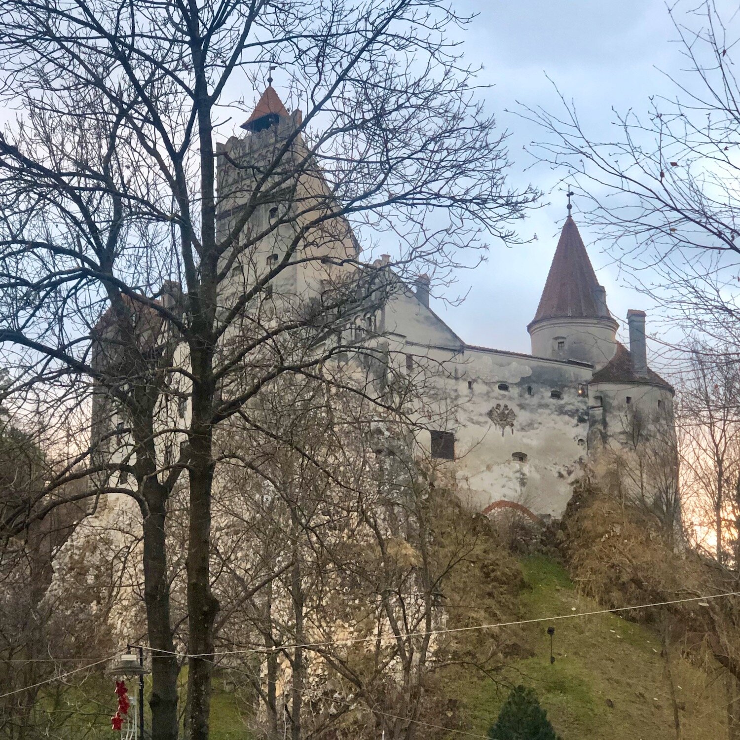 IMG_2822.jpeg