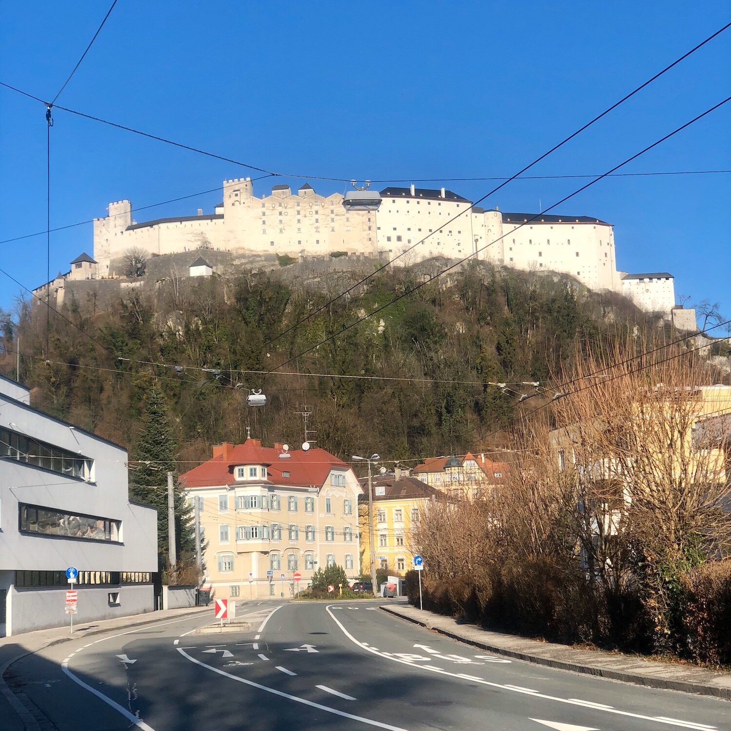IMG_3011.jpeg