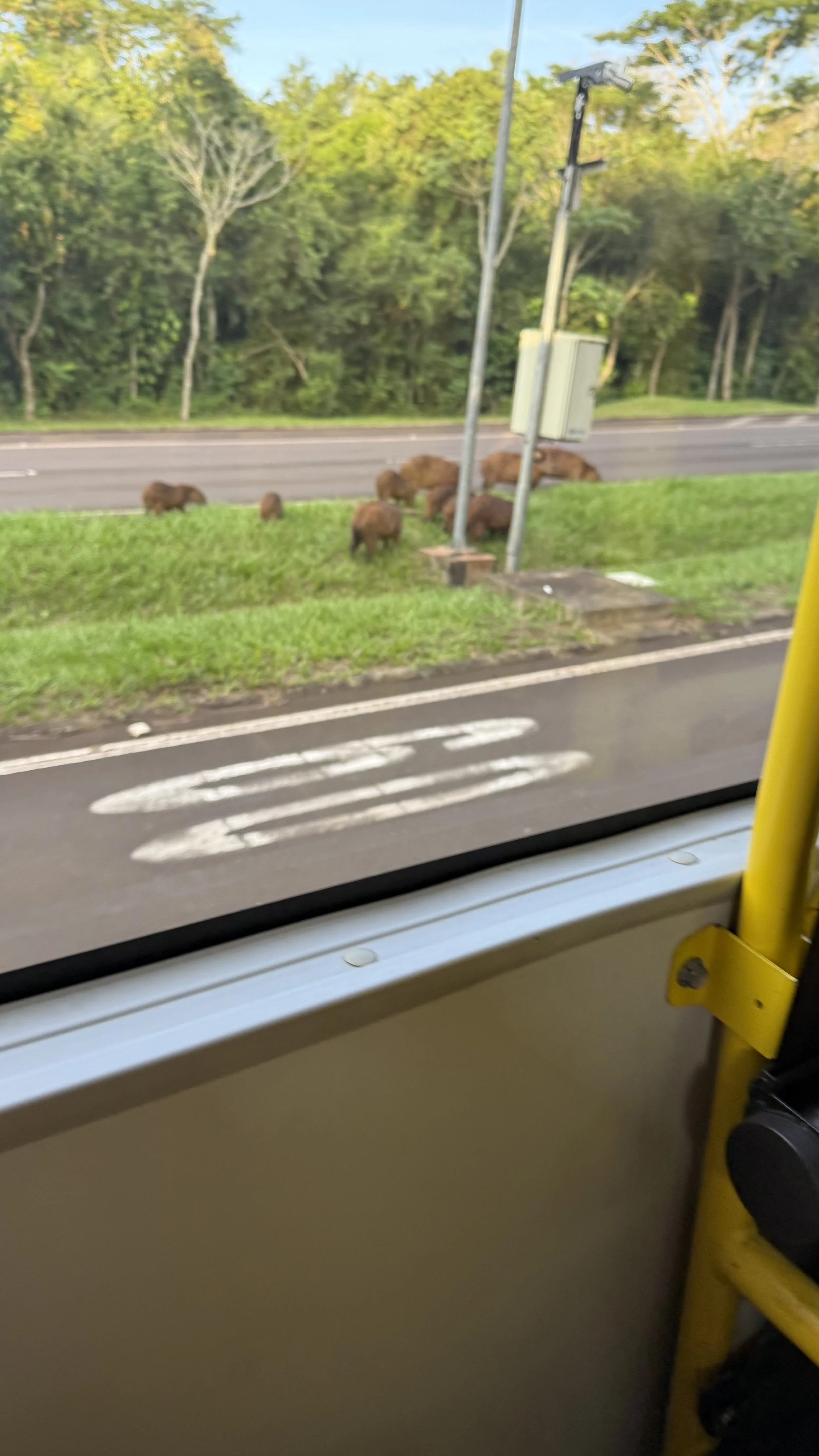 IMG_4630.jpeg