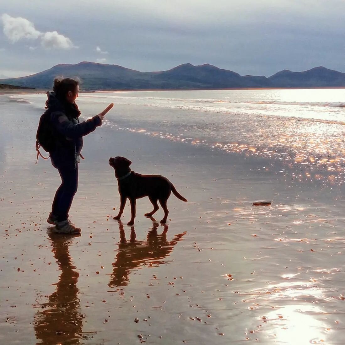 Beach days with the dog make me pretty damn happy. 

Thanks to Cordelia for the great photo and the excellent company 

#beach #adventureswithmydog #getoutside
#wideopenspaces #seaside #wildandfree
#dogsofinstagram #spacetobreathe
#playtime #walesnev