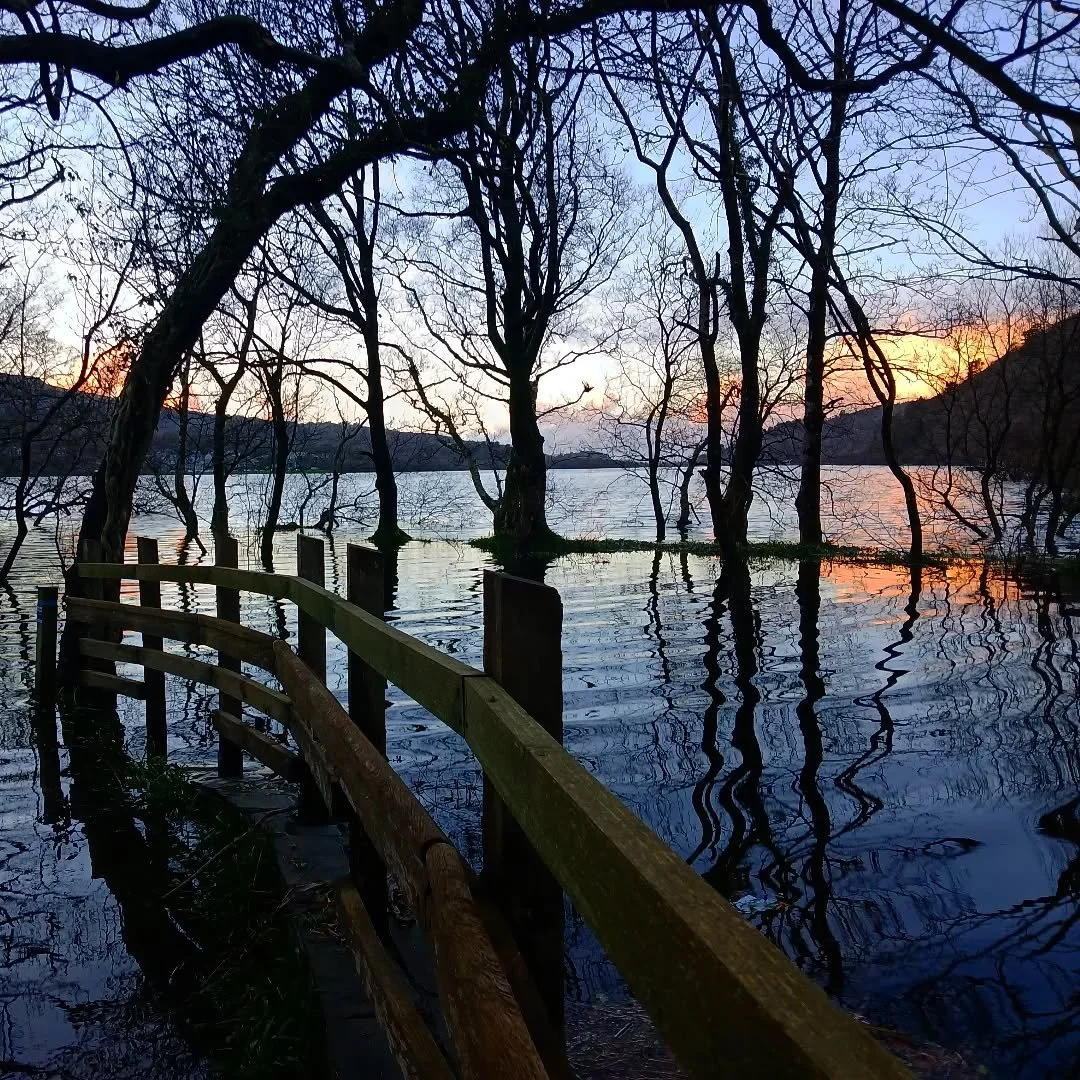 Rising waters 

#lakesideliving #newyear #rainyday #reflection