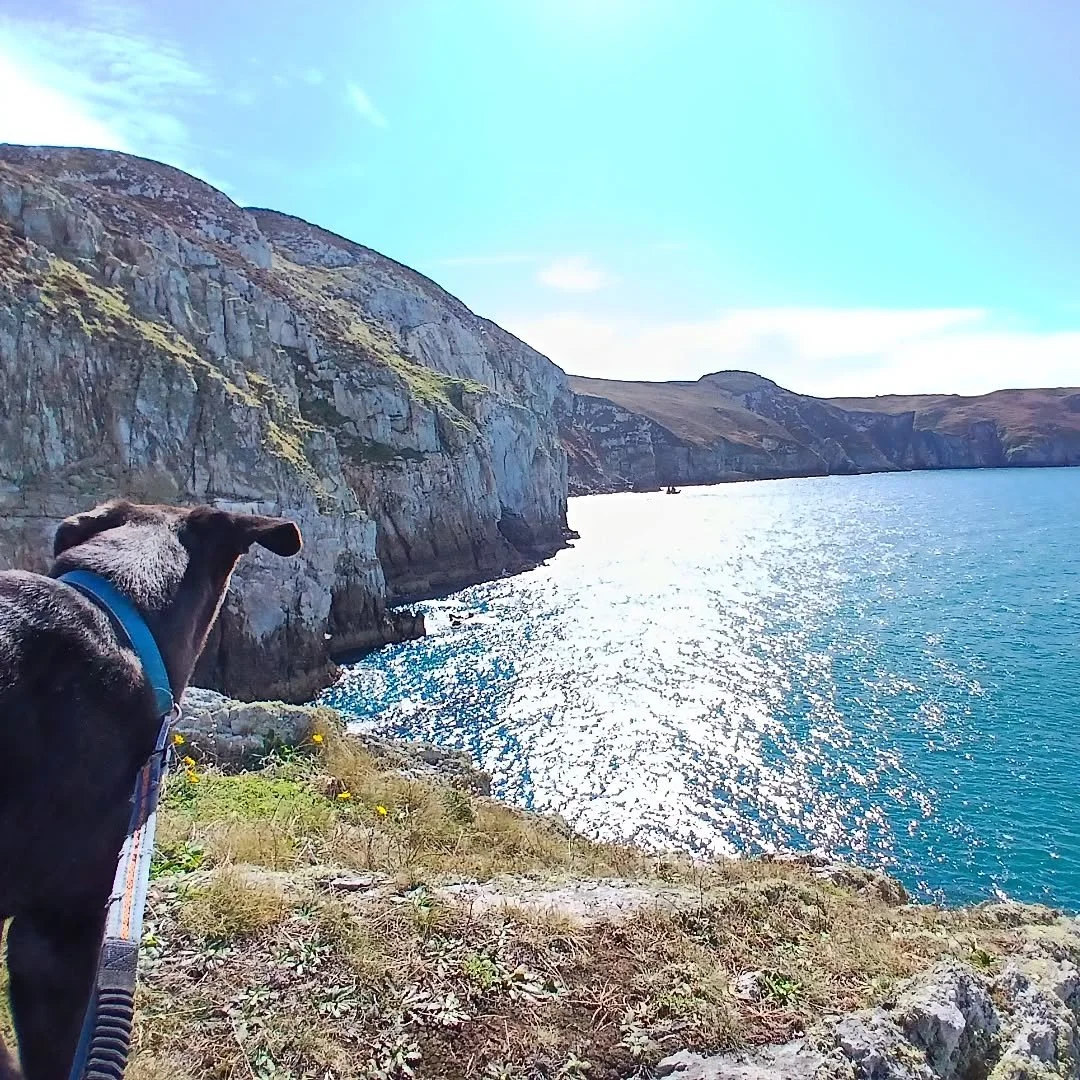 Maybe the last days of summer? It's been a busy one and a whole lotta bouncing around. 
 But so nice to be finally  home and surely there's plenty of time for a some Gogarth climbing...right ? 

Climbers if you can spot them
@youroutdoor @t.carrick

