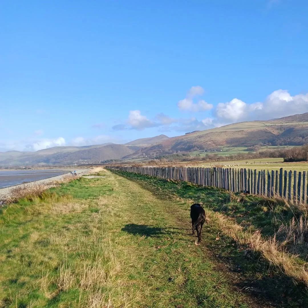 And we're back!!! Sunshine and seaside called  Luna and I out of hibernation. Hope everyone has been having a good winter.

#adventureswithmydog #walesneverfails #springiscoming #mountainlife