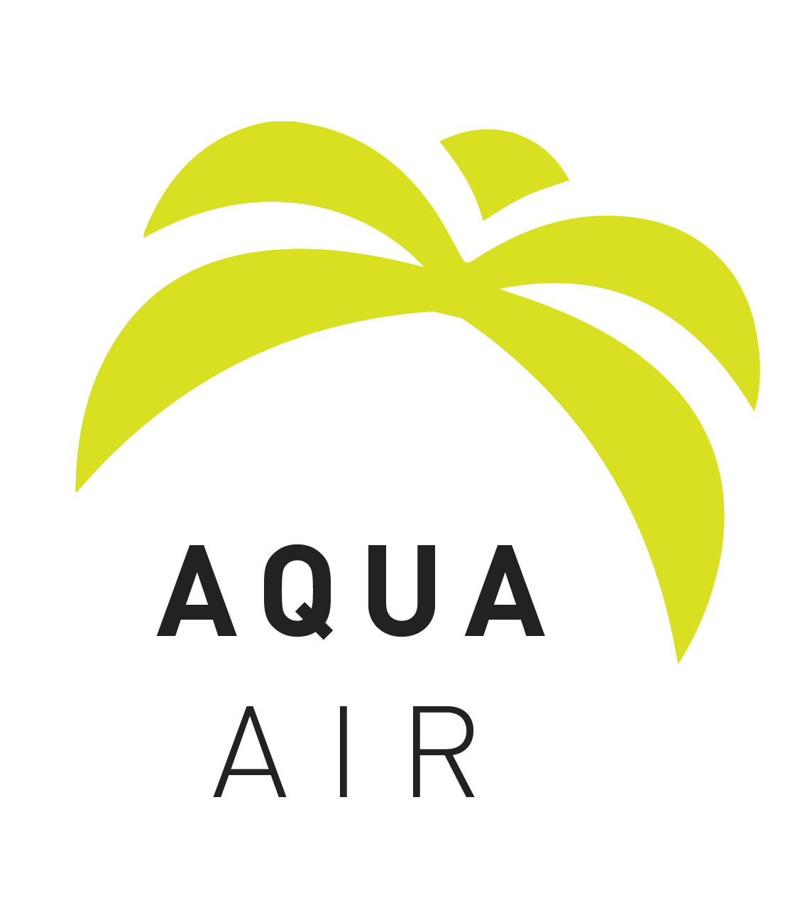 AIR PALMIER.png