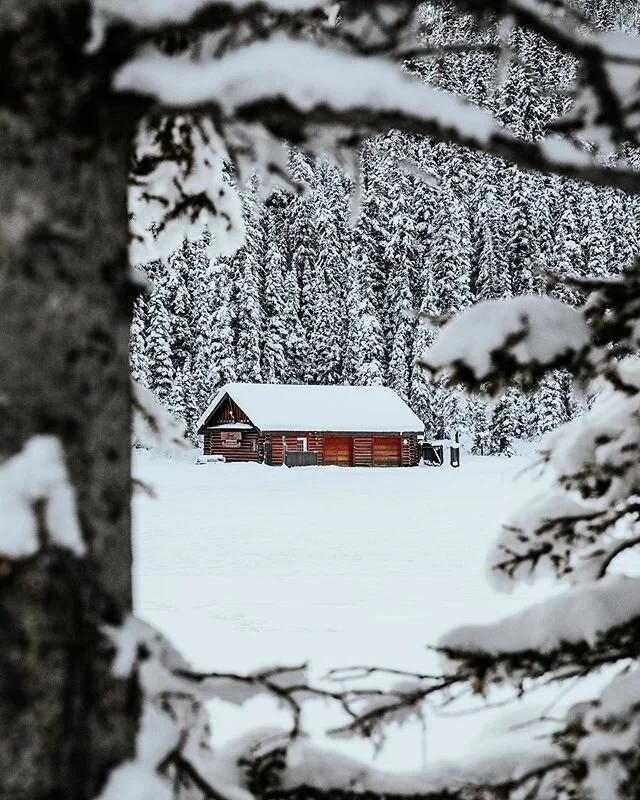Over the river and through the woods to lake Louise I go! There is just something so magical when a white out happens and there is snow for miles. I seriously cannot get enough! ⛄️ ❄️