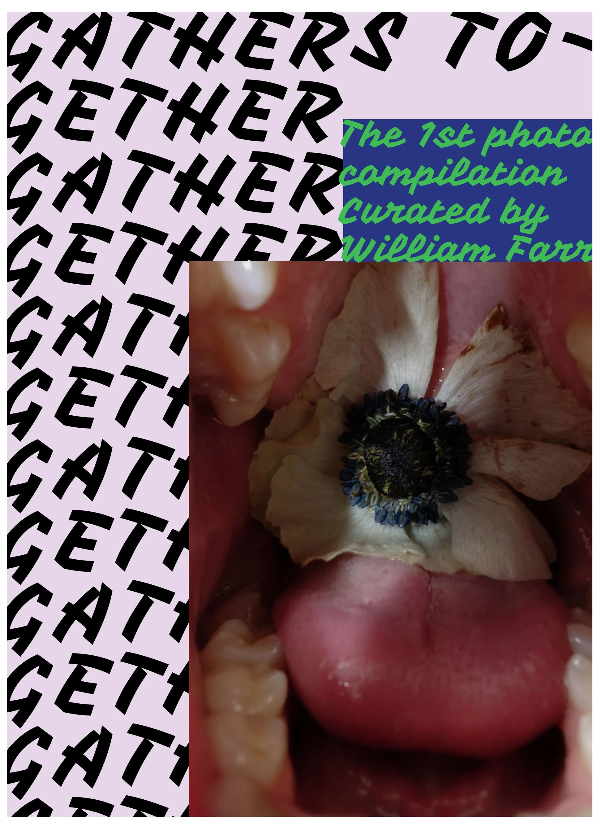 Graphic+type+port+edit29.jpg