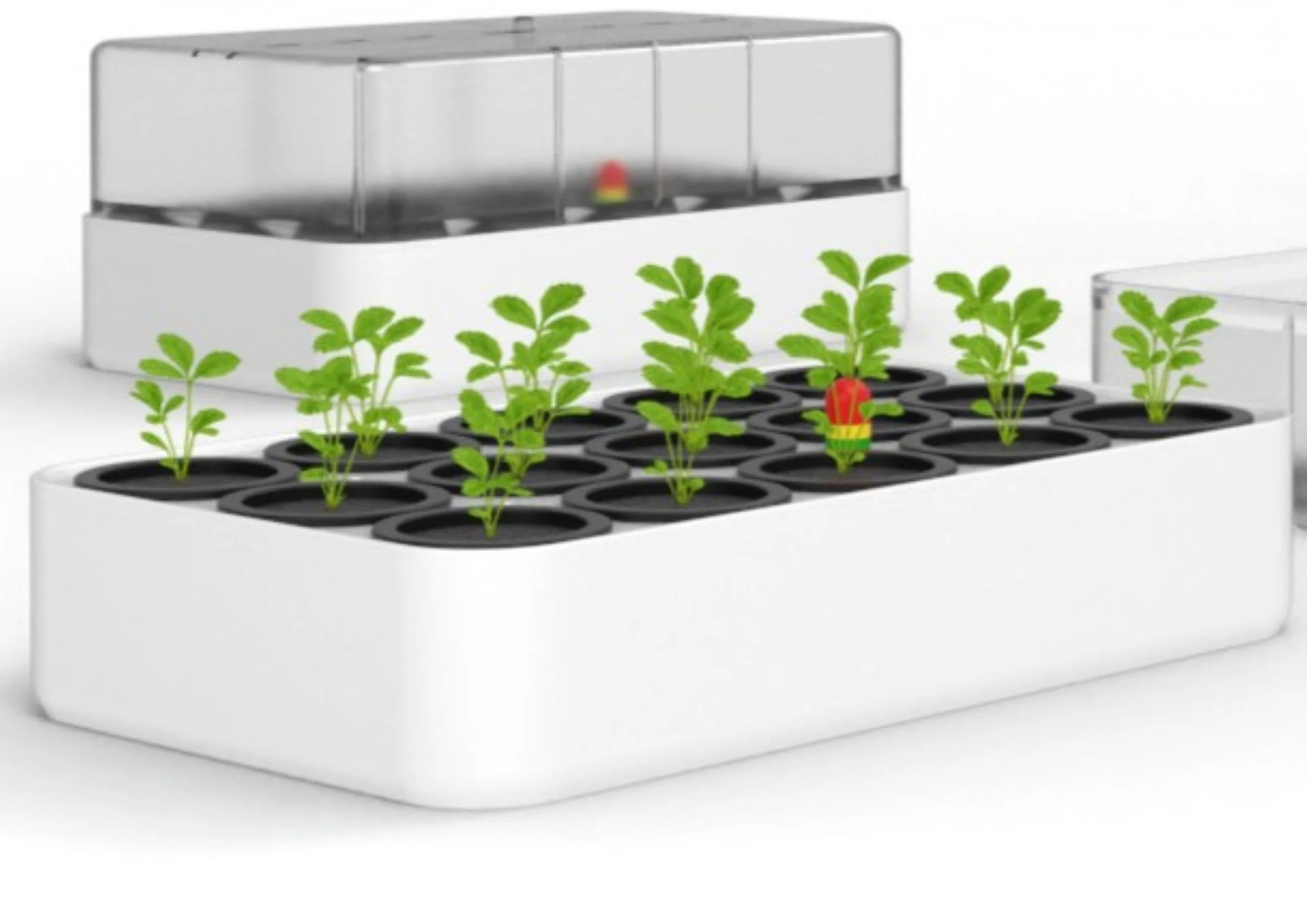 Germination Station — FullCircle26Inc.