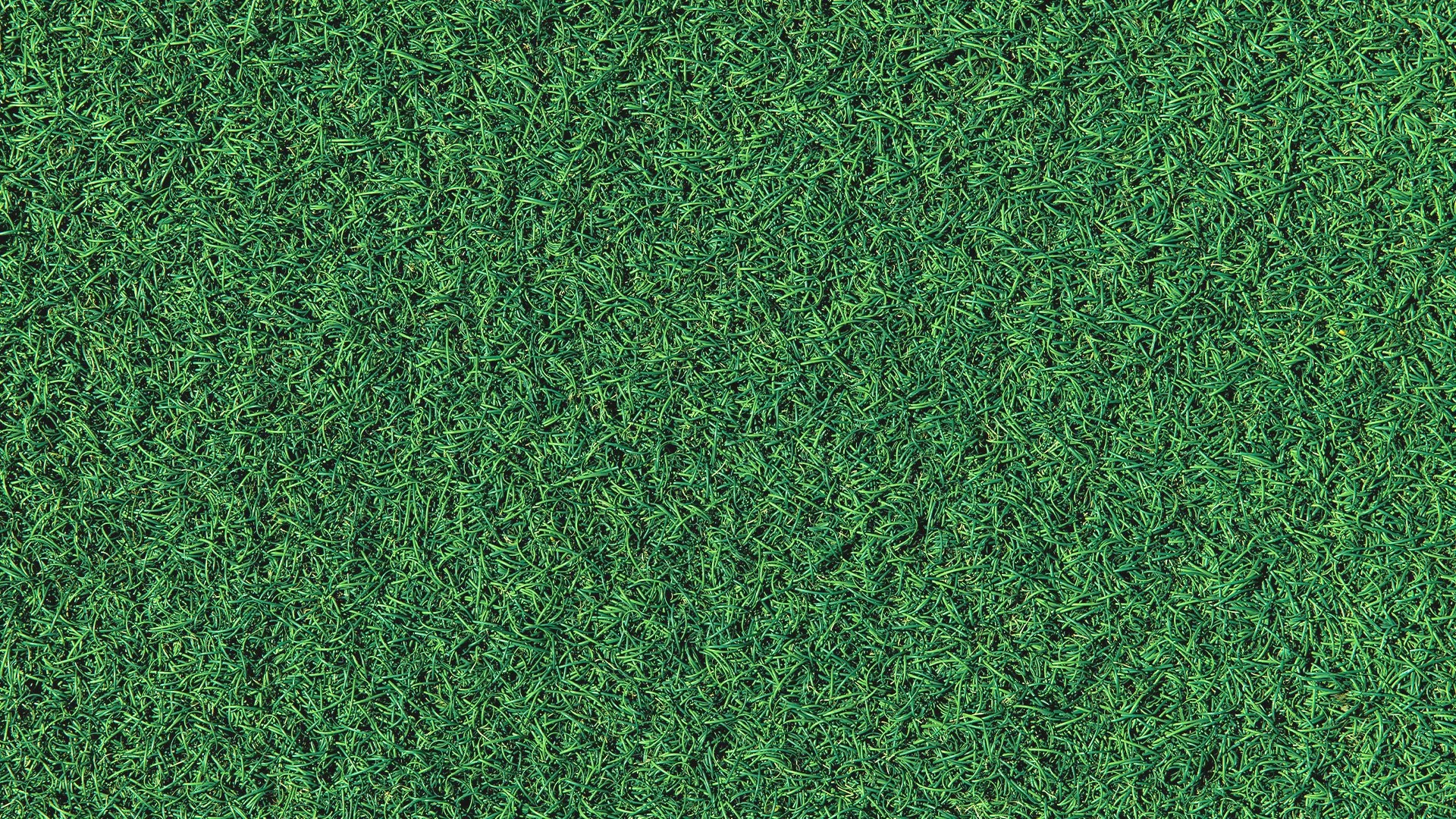 2026-0424 Cosclay in Bloom Hero BG-2.jpg