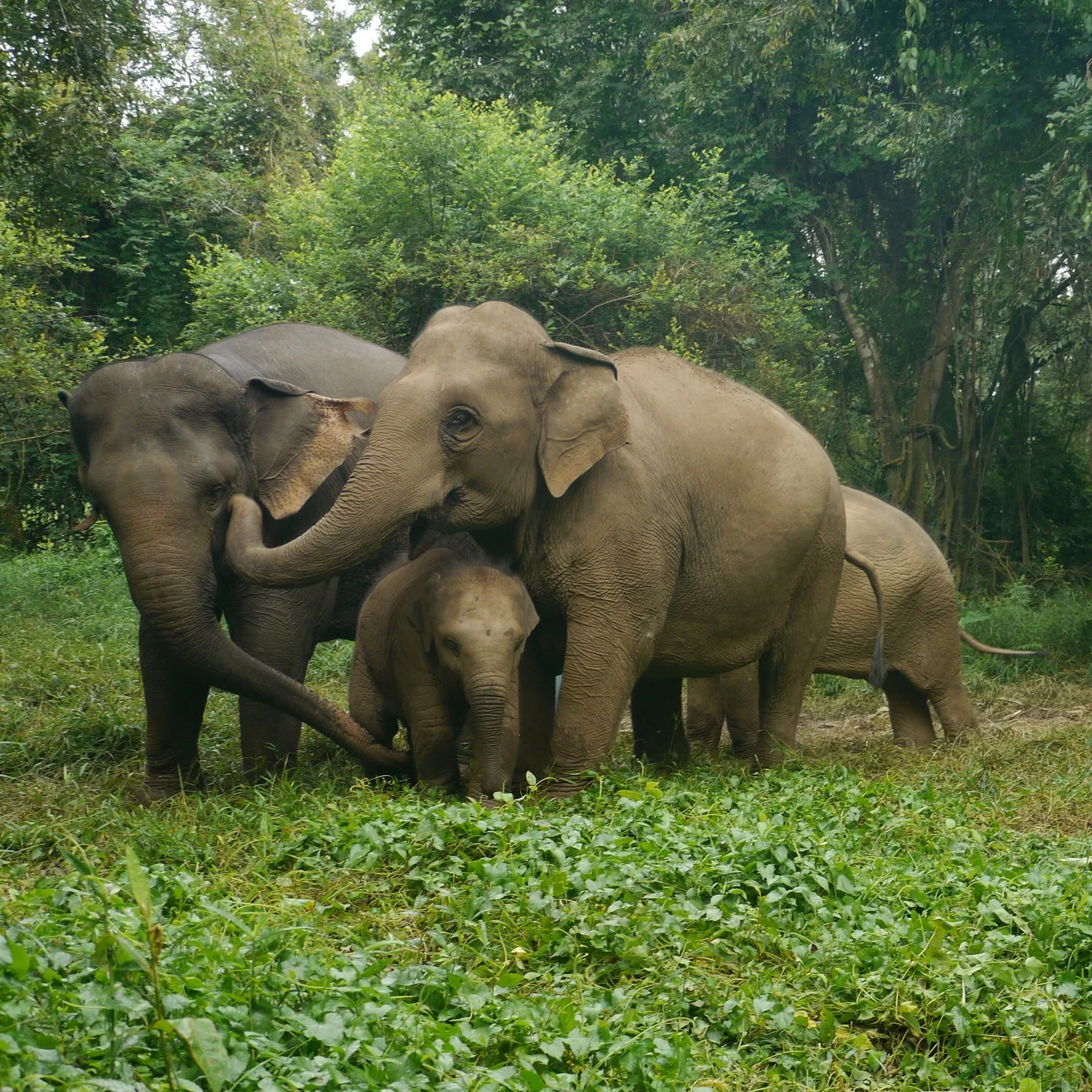Director+Allison+Argo+on+location+in+Asia.jpg