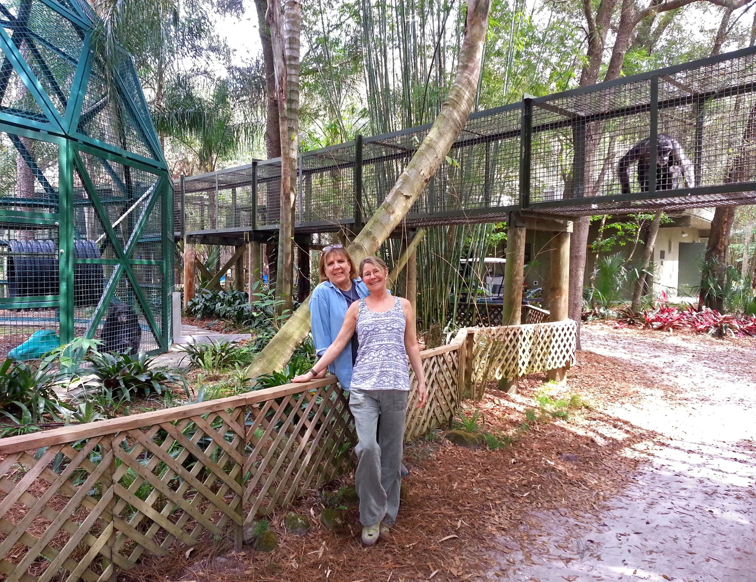 Patti Ragan and Allison Argo at Center for Great Apes.jpg
