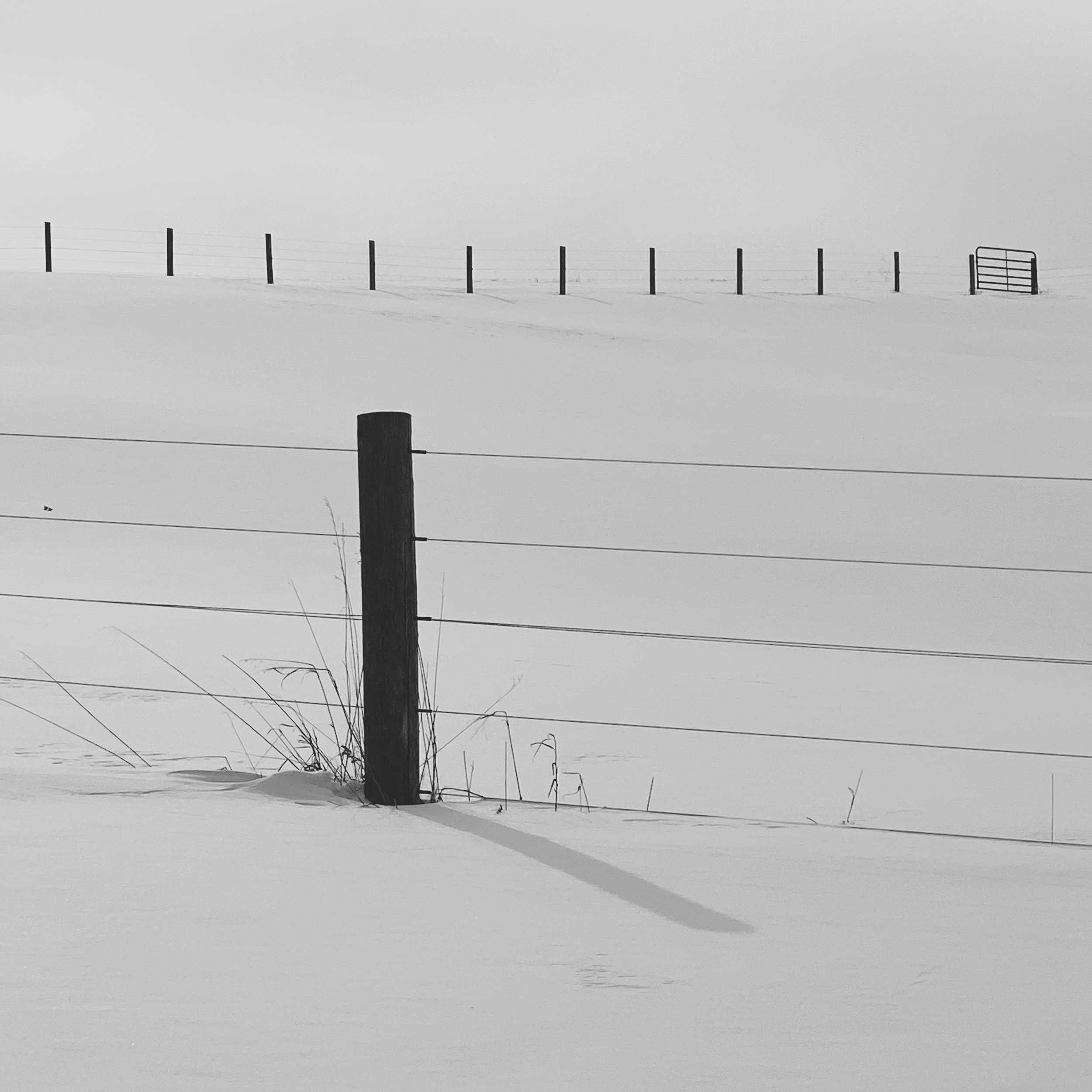 Fence in Snow.jpeg