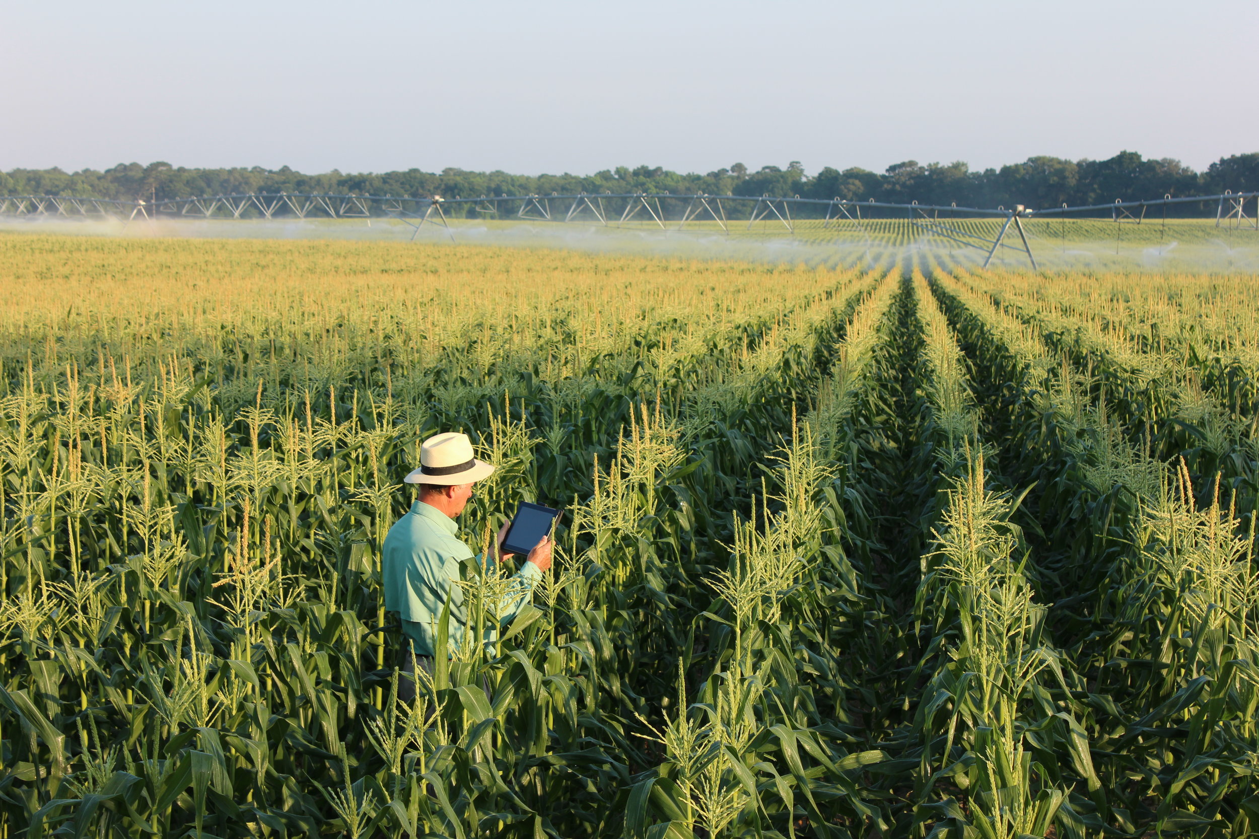 SMART IRRIGATION