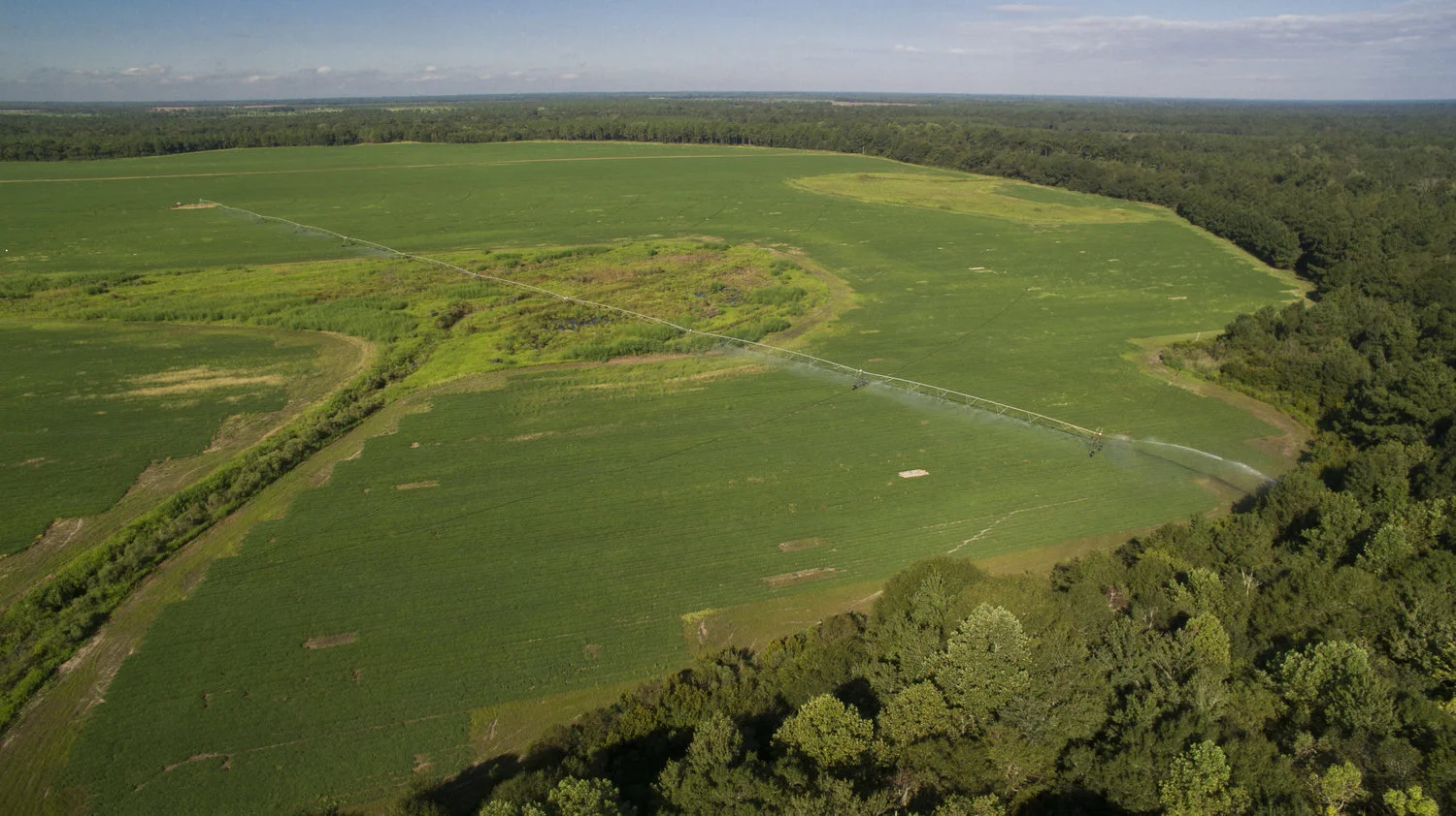 VRI in action aerial.jpg