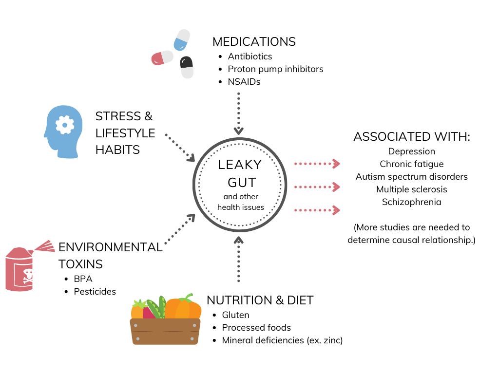 Various contributors to a leaky gut are part of the conveniences of modern every day life.