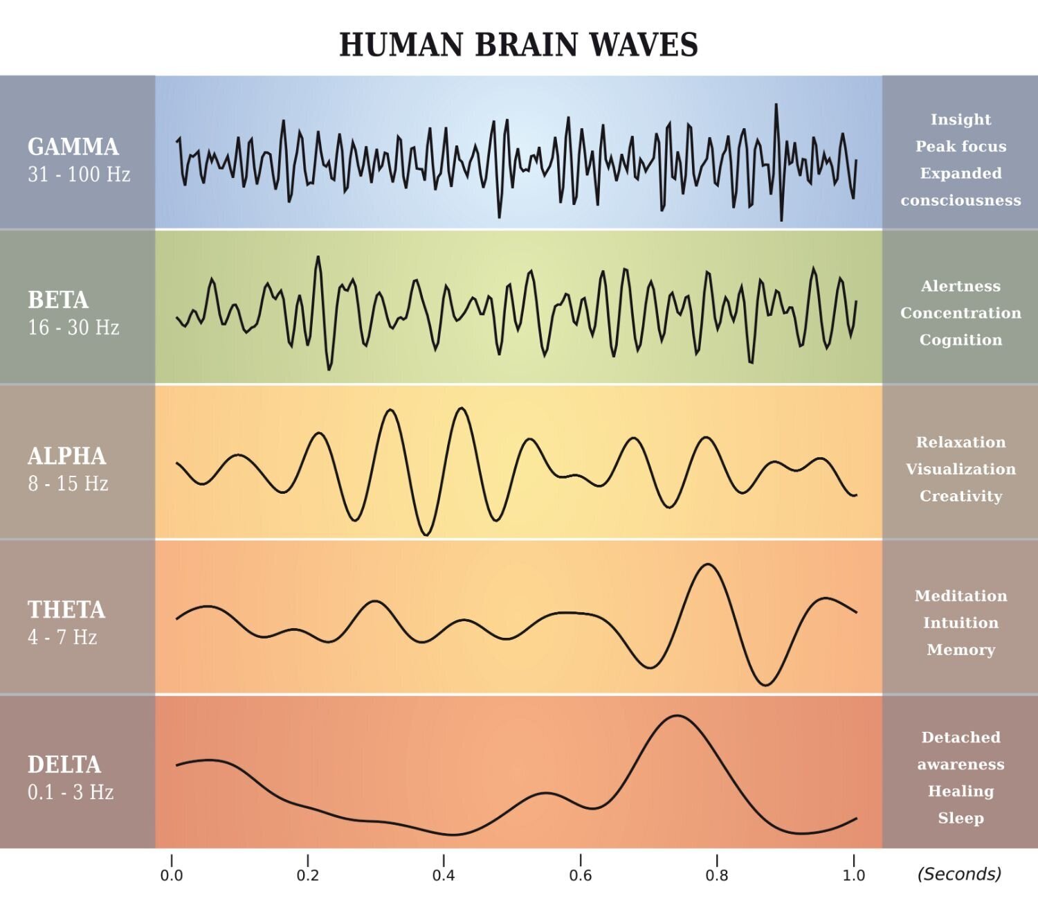 chandramd-brain-waves-neurofeedback-neurotherapy