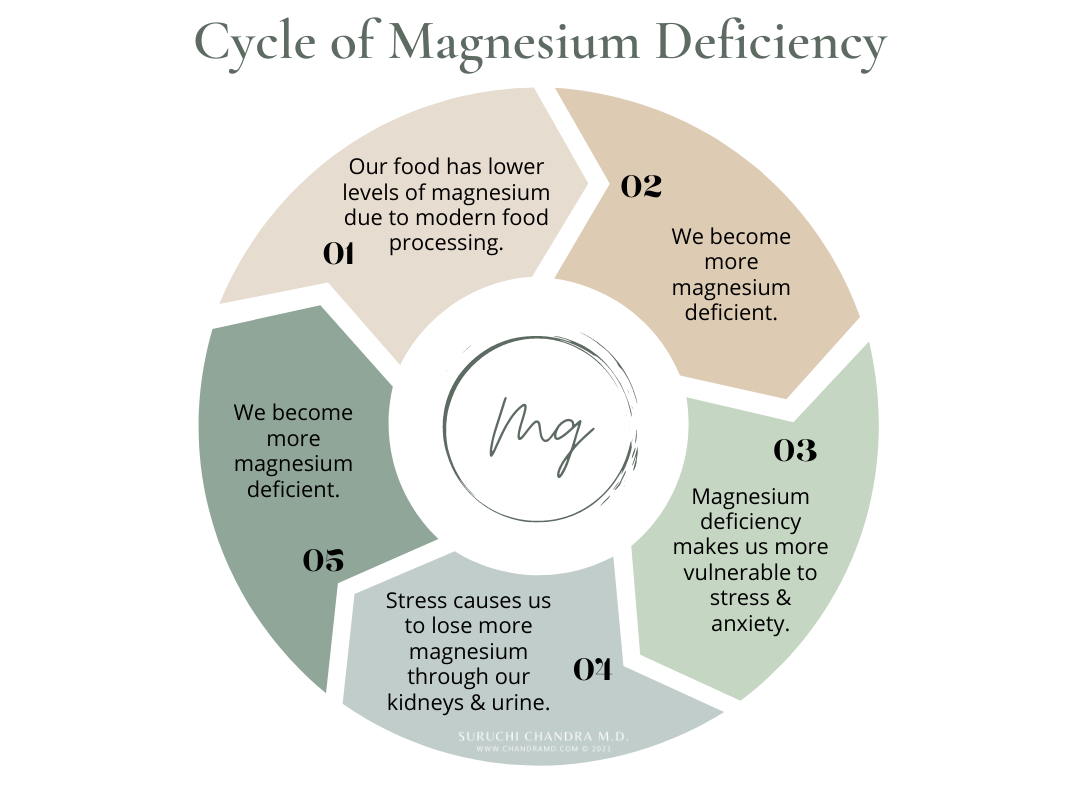 chandramd-magnesium-deficiency-cycle-stress