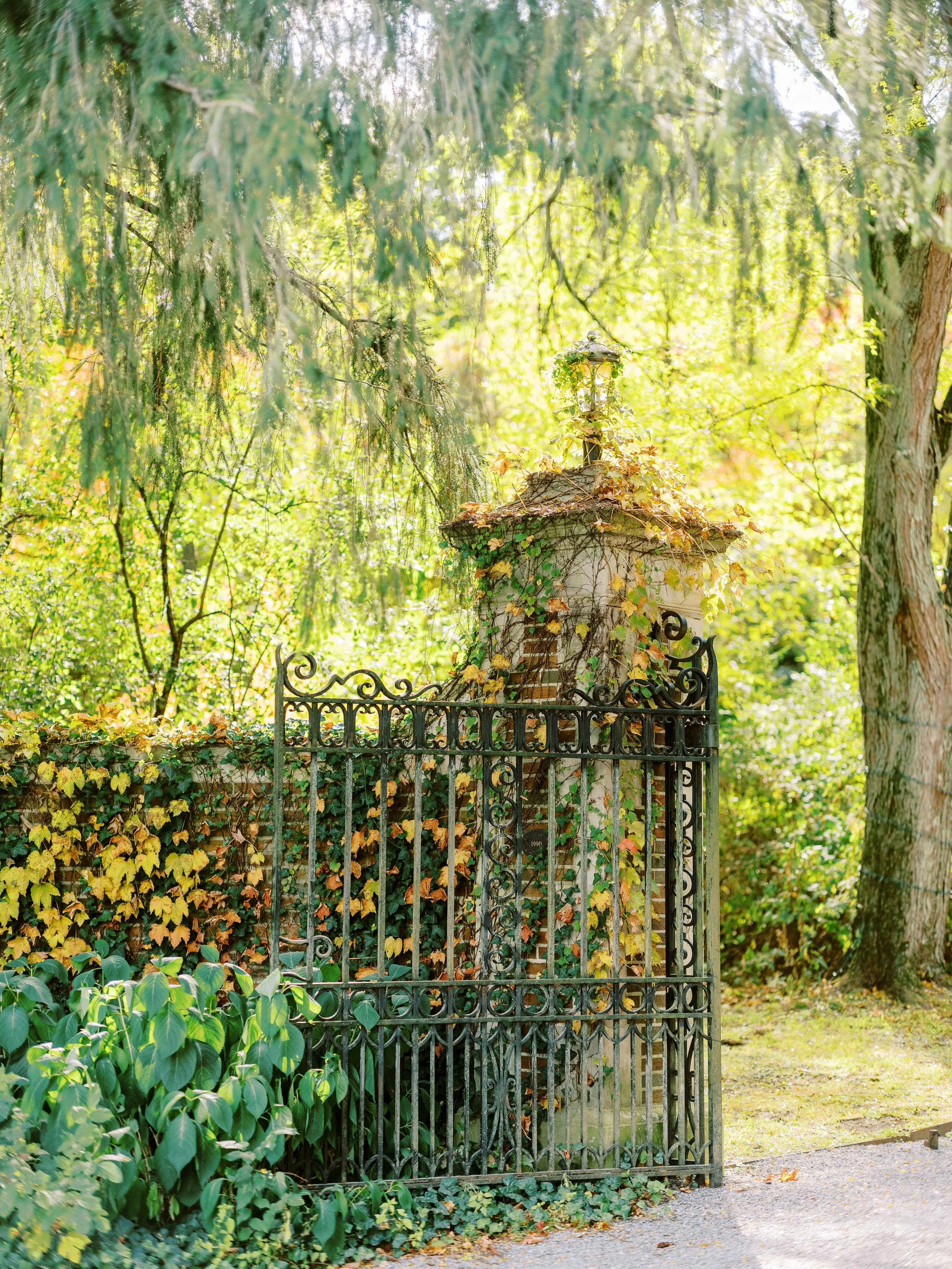 The Fourniers  Elkins Wedding - Pre-Ceremony-3.jpg