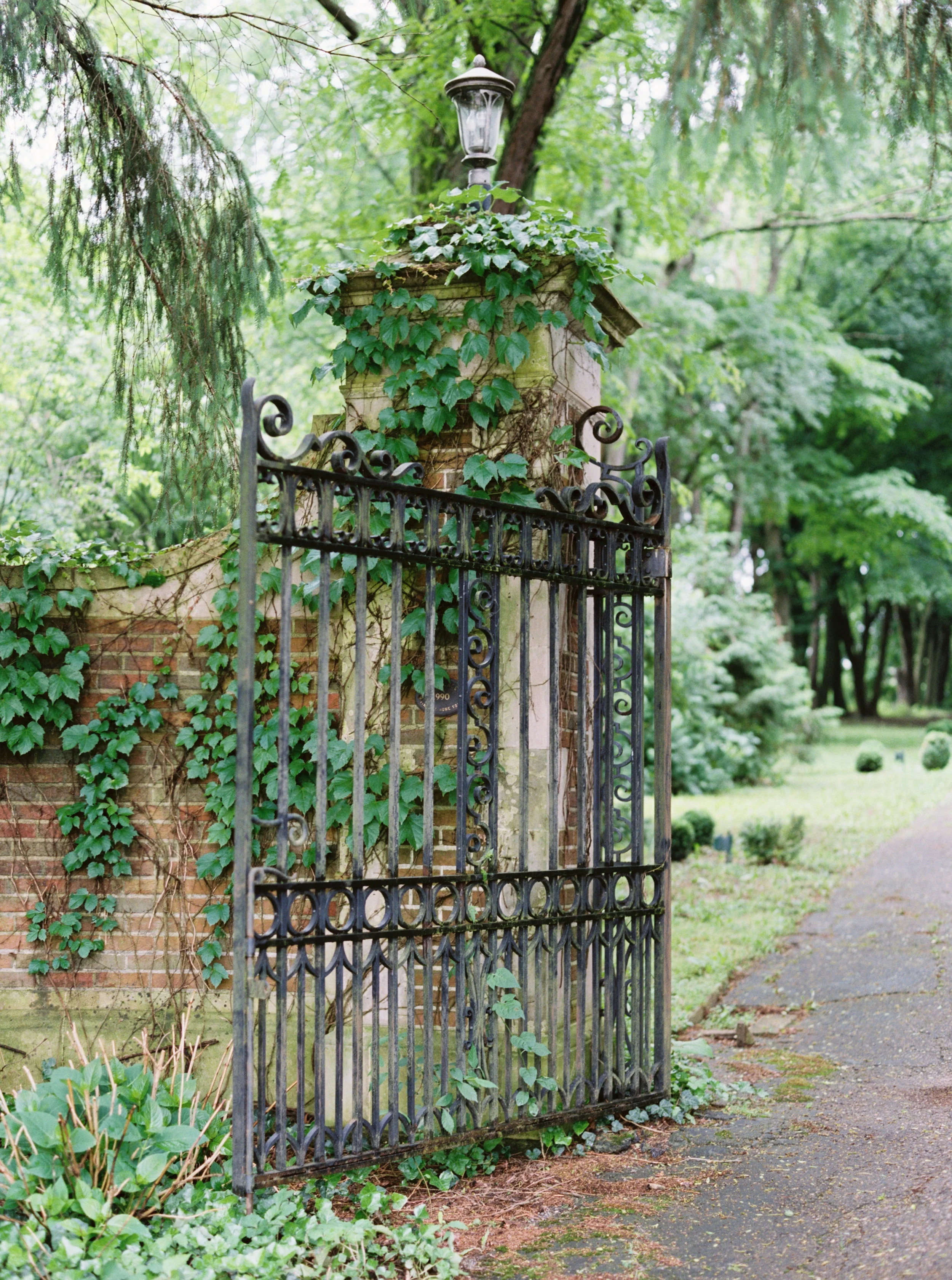 5b343ca941098 (1).jpg