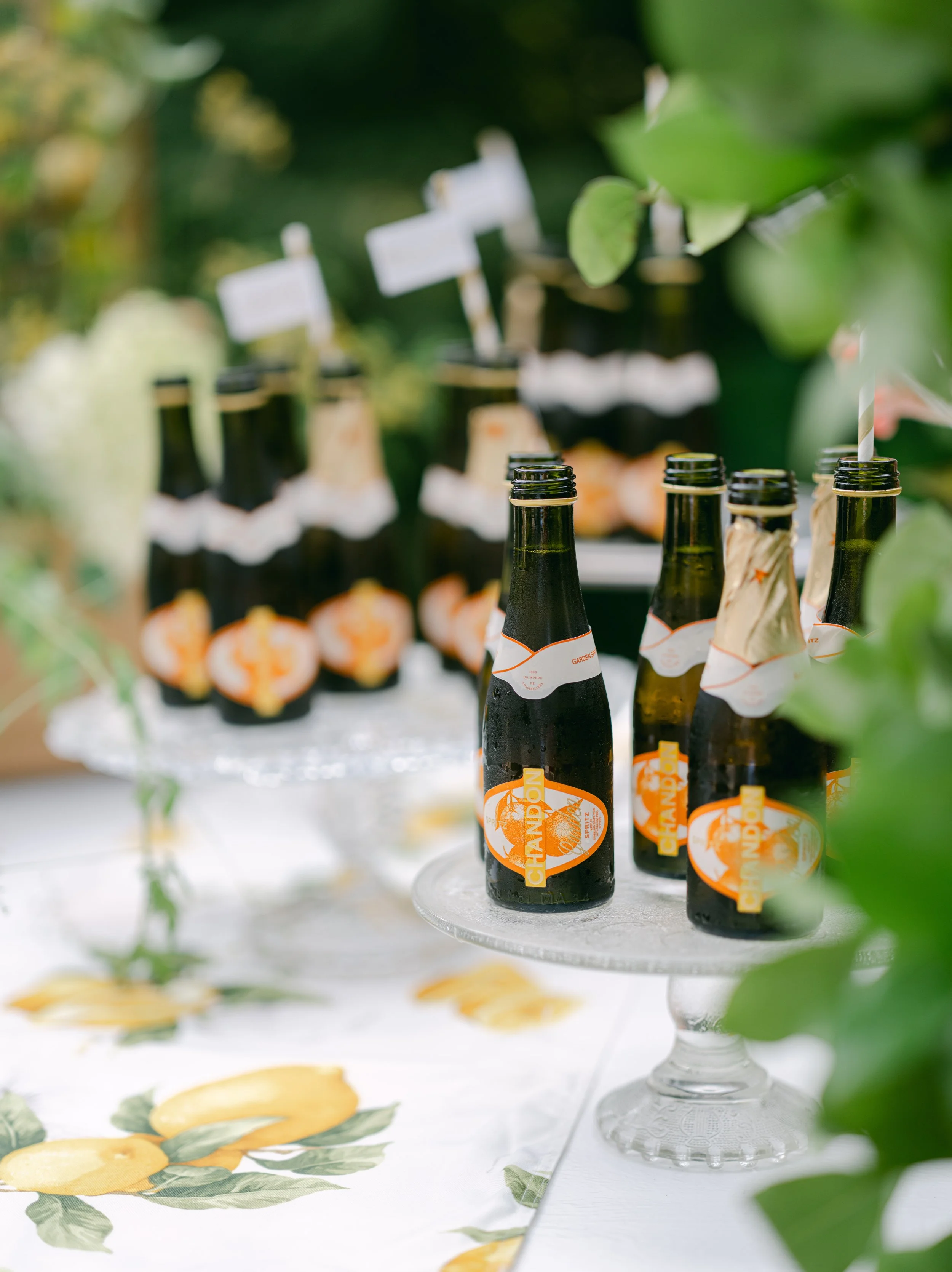 024- Lia Giannotti Photography.jpg