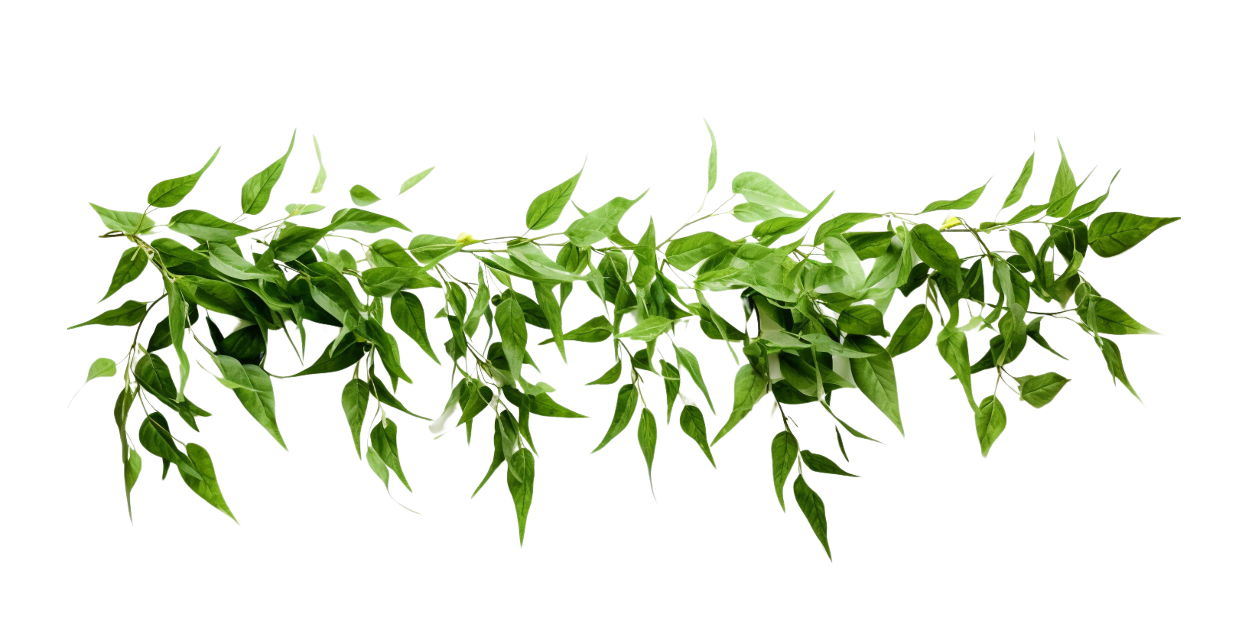 AdobeStock_695763210.png