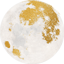 globe icon.png