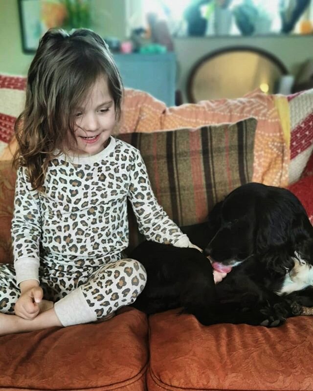 Mornings with Weasel ✨🥰 #countrylife #workingcocker #morningroutines #mydaughter #rettsyndrome #homelife
