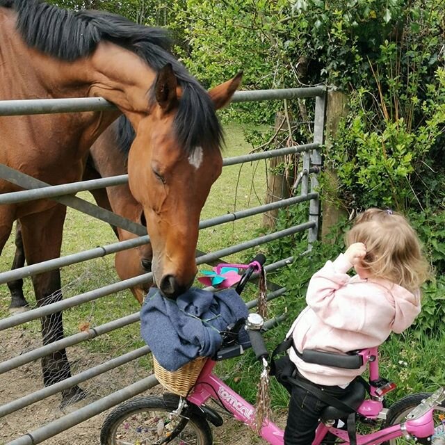Time filled with horses and triking is time well spent 💖🌿🌾☺️ #weekends #lifeonatrike #tomcattrikes #countryliving #countrylife #racehorses #farmlife #rettsyndrome #lifewithdisabilities #parentingdifferently #foraging