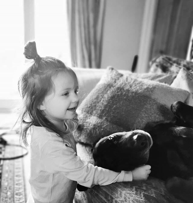 🖤 Best friend cuddles

#bestfriends #workinglabrador #love #girlsbestfriend #cuddles #dogsaretherapy