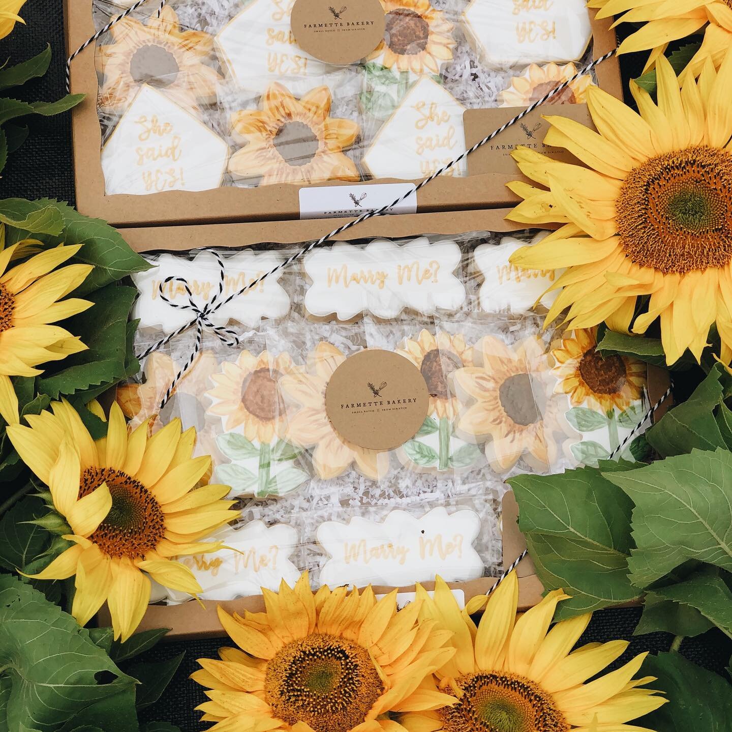 Do you know what comes before pumpkin season? 
🌻Sunflower season🌻 I&rsquo;m so excited to partner up with @andreottifamilyfarms for some special events this Fall. They are the only local U-pick sunflower farm and they will be opening within the nex