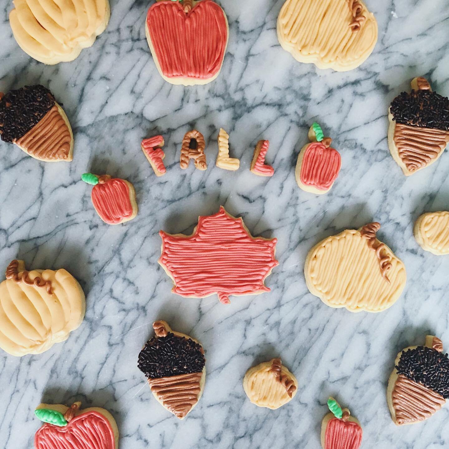 Happy Autumnal Equinox friends! Yep, it&rsquo;s my favorite time of year! I&rsquo;m looking forward to apple picking, pumpkin patch visits, all the baking, and of course Fall and Halloween cookies! What are your Fall faves?🍂👇🏻