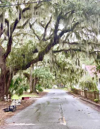 A Picturesque Coastal Town:   EXPLORING BEAUFORT