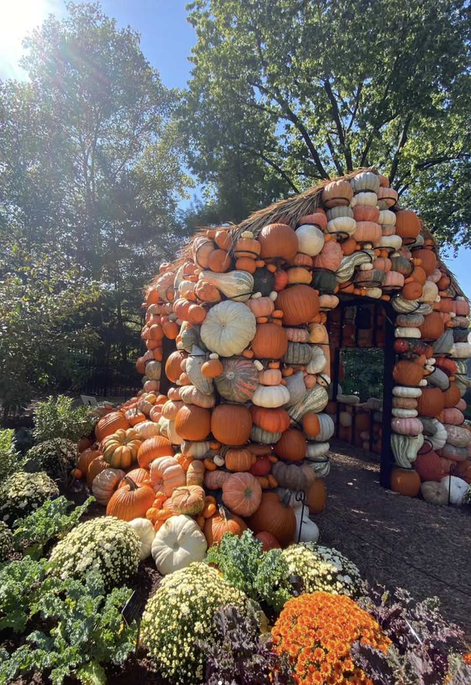 Southern Fall Escapes: Six Towns Where the Season Comes Alive