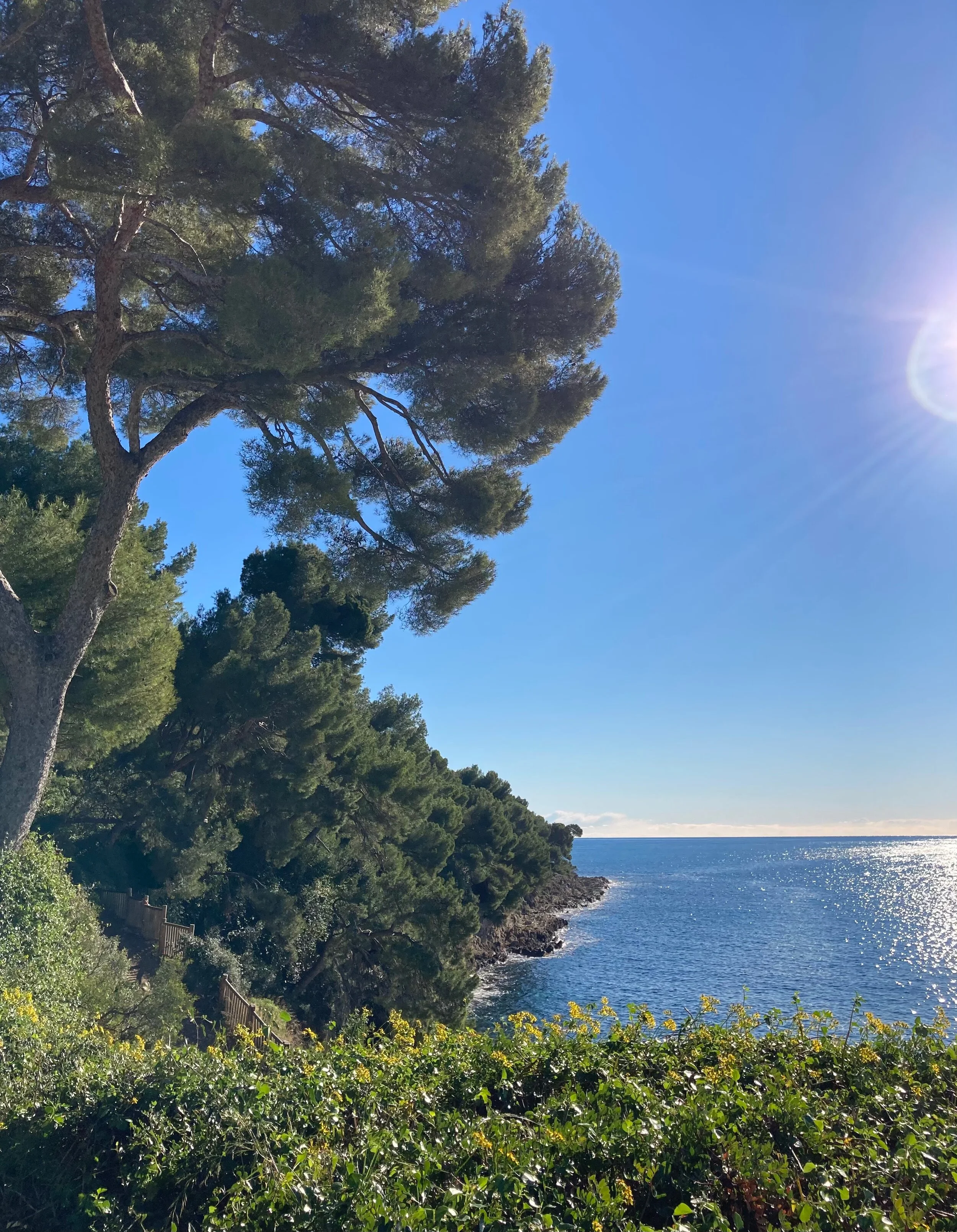 L'énergie du printemps en médecine traditionnelle chinoise