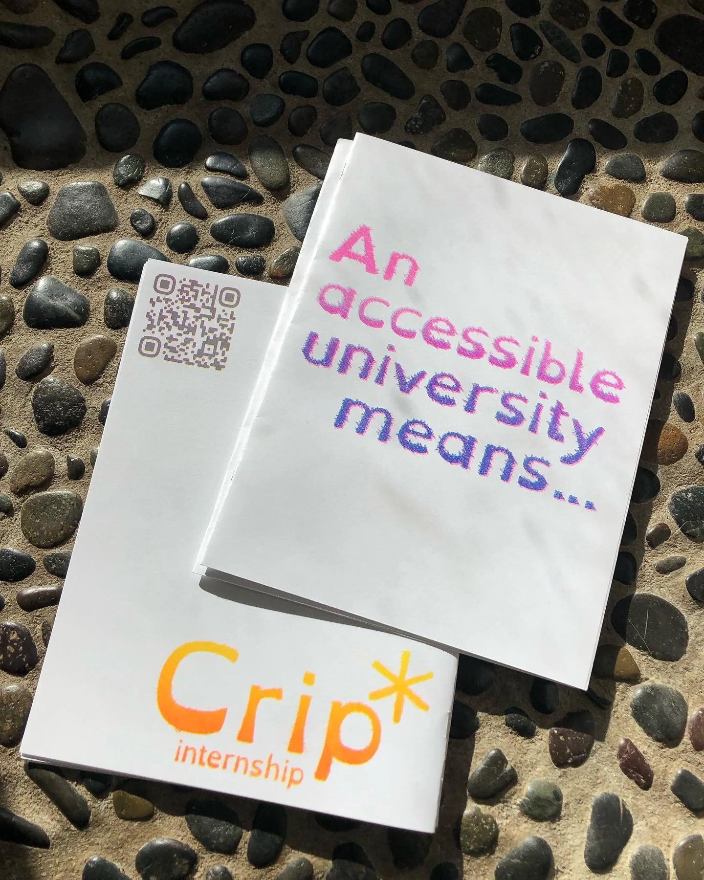 Please join us in celebrating the launch of the Crip* Internship group&rsquo;s &lsquo;An accessible university means&hellip;&rsquo; booklet and &lsquo;Instances of Ableism&rsquo; survey this Wednesday (November 15th) at 7pm CST with a free screening 